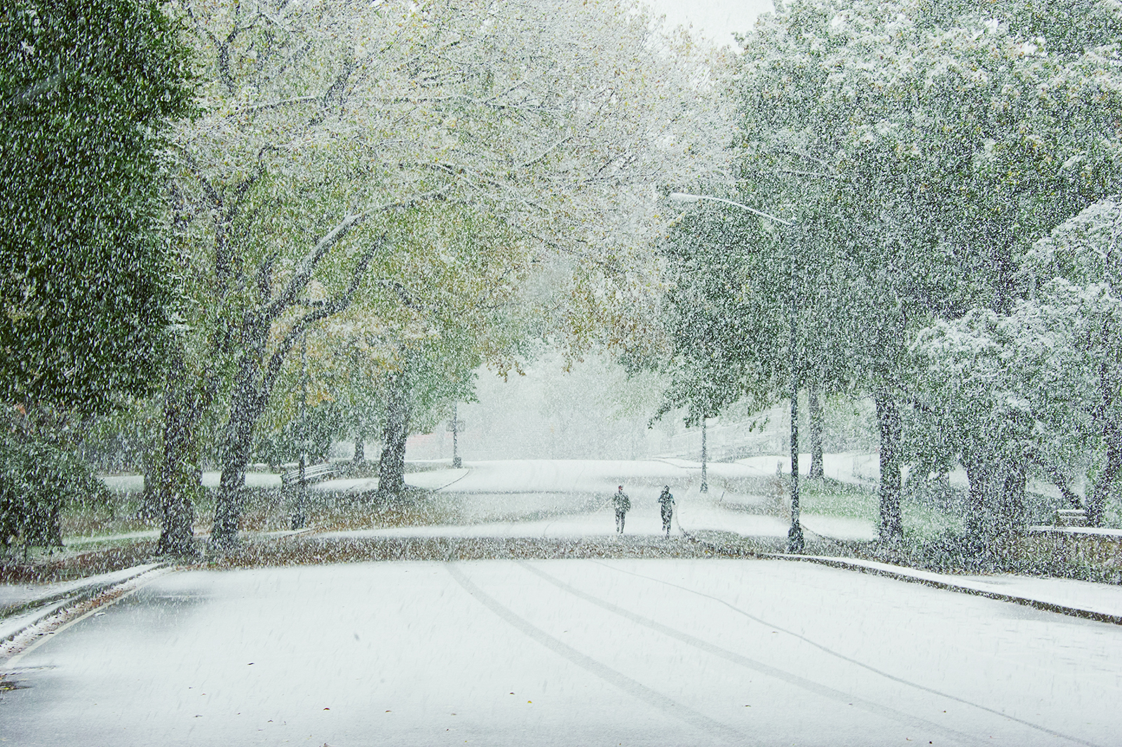 October Snow, Central Park