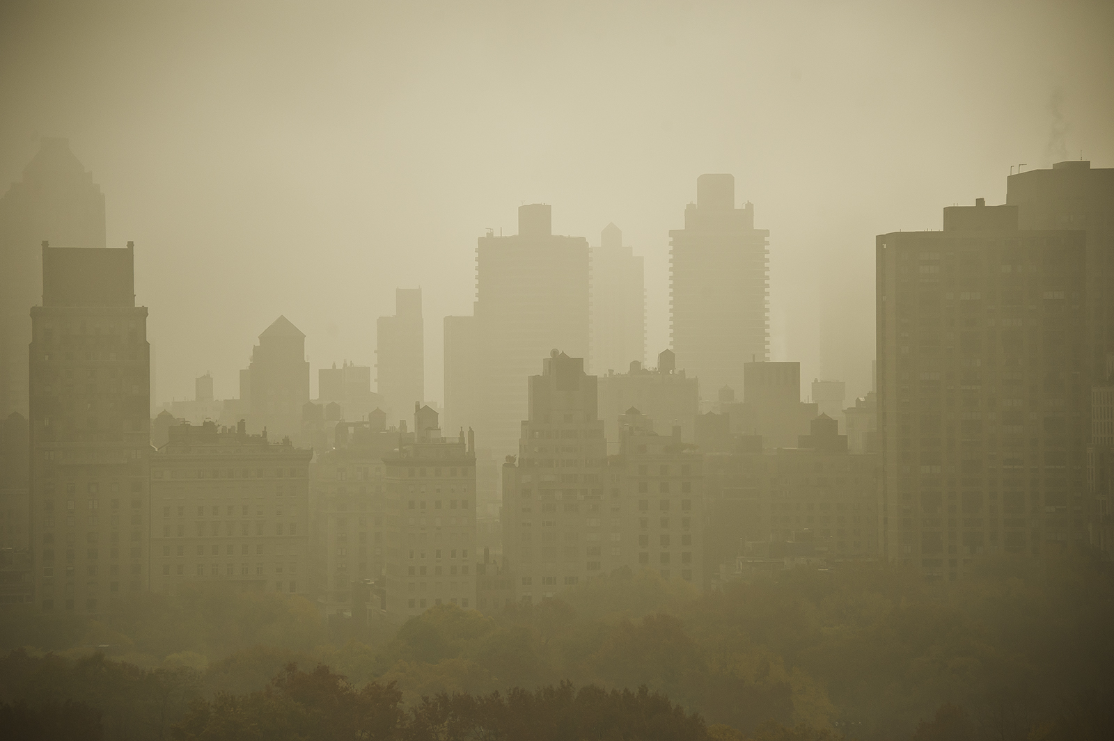 Stieglitz