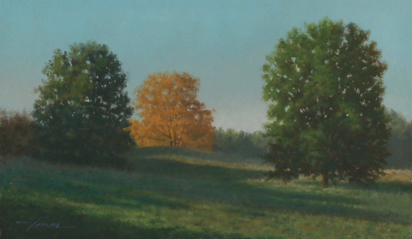 Morning Field II.jpg