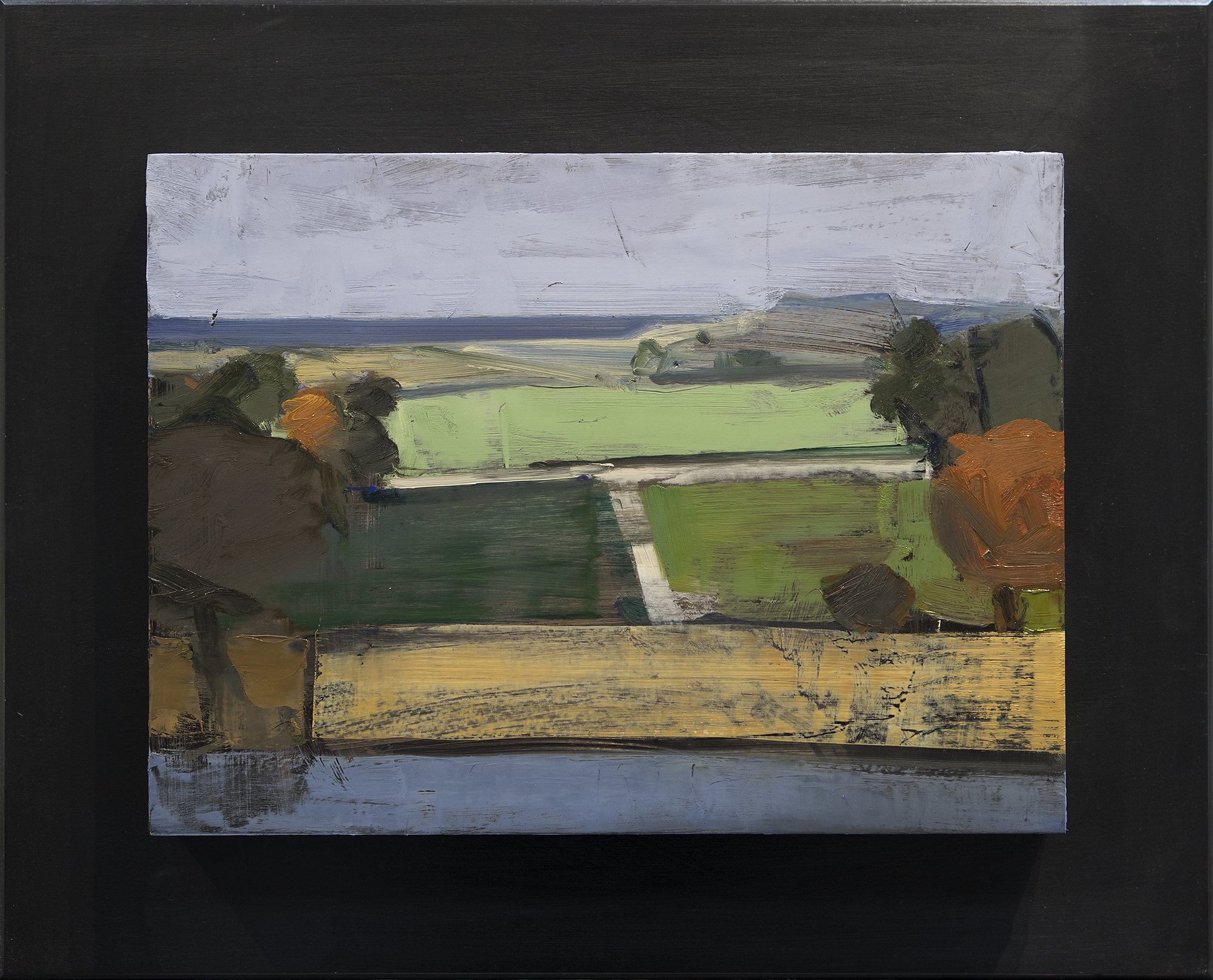 Landscape for Morty