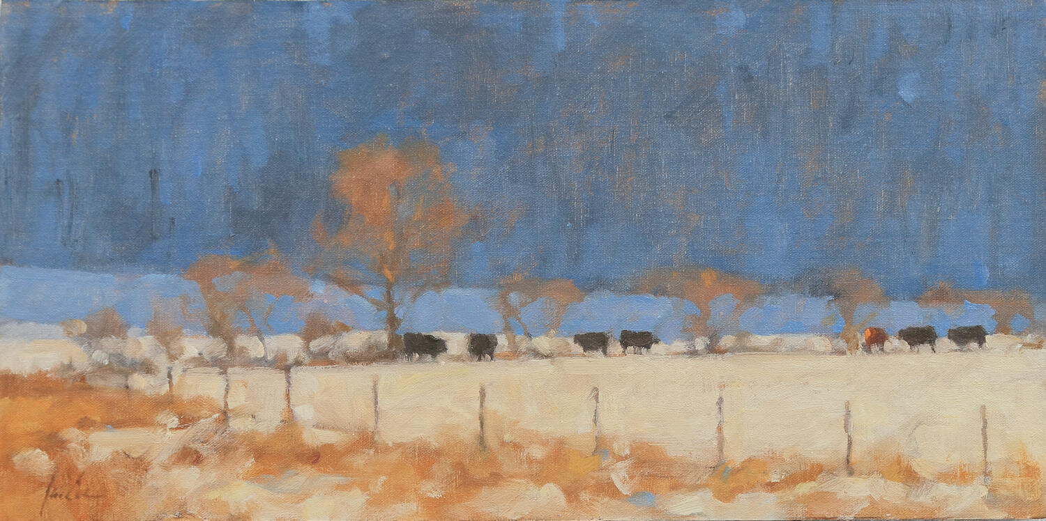 Cows Along the Fenceline, study 3
