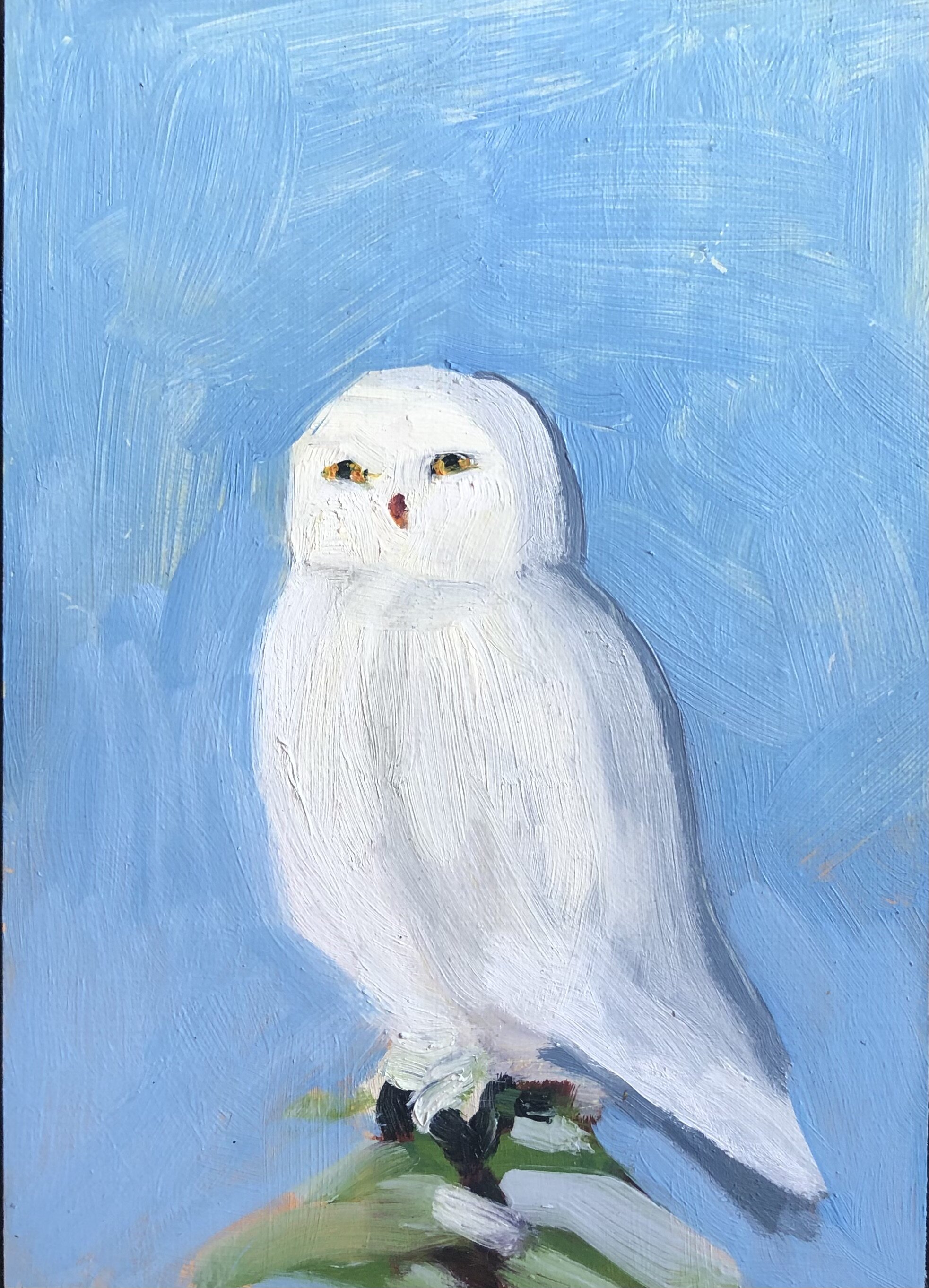 Snowy Owl&nbsp;3