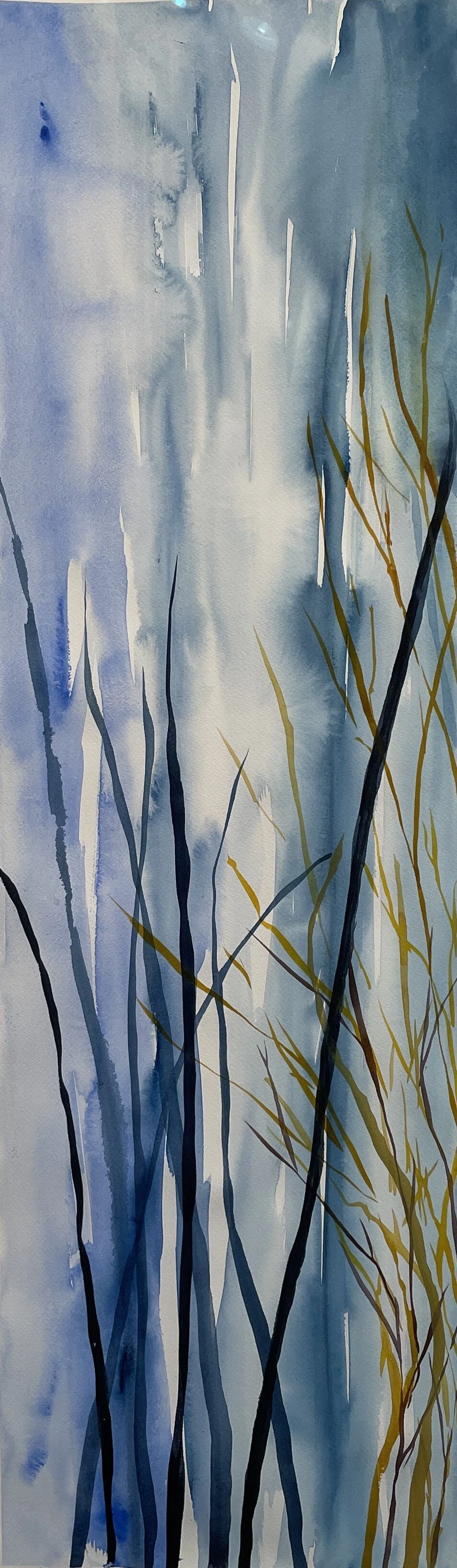 DREAMS OF ANTWERP BLUE