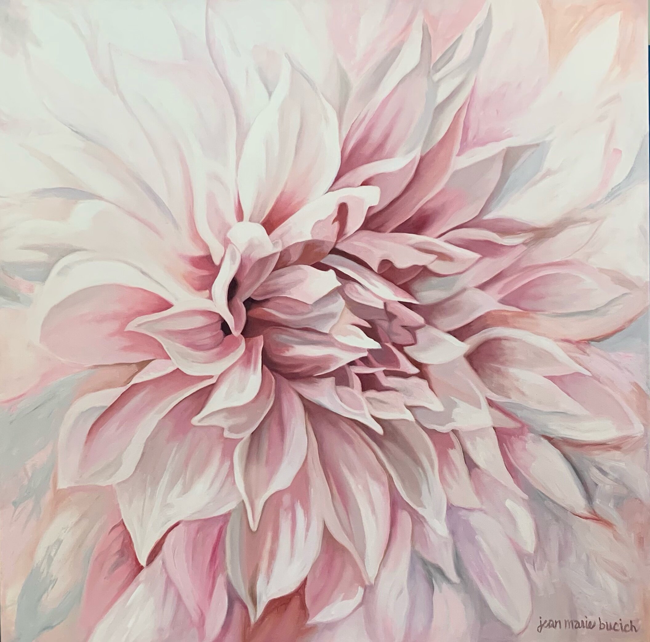 Pink Dahlia