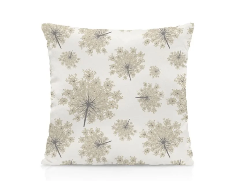 Queen Anne’s Lace - Flowers