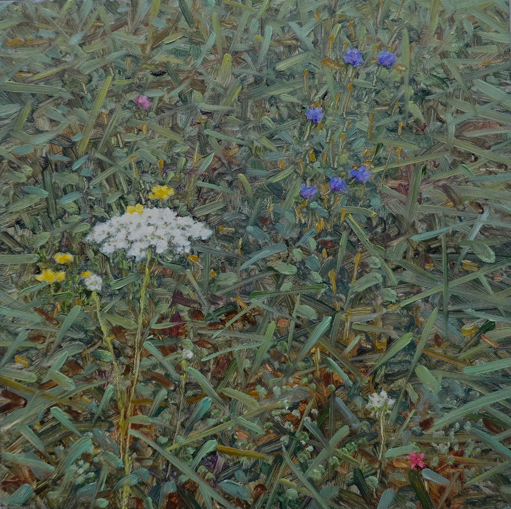 Field Painting with Queen Anne's Lace and Chicory 2021