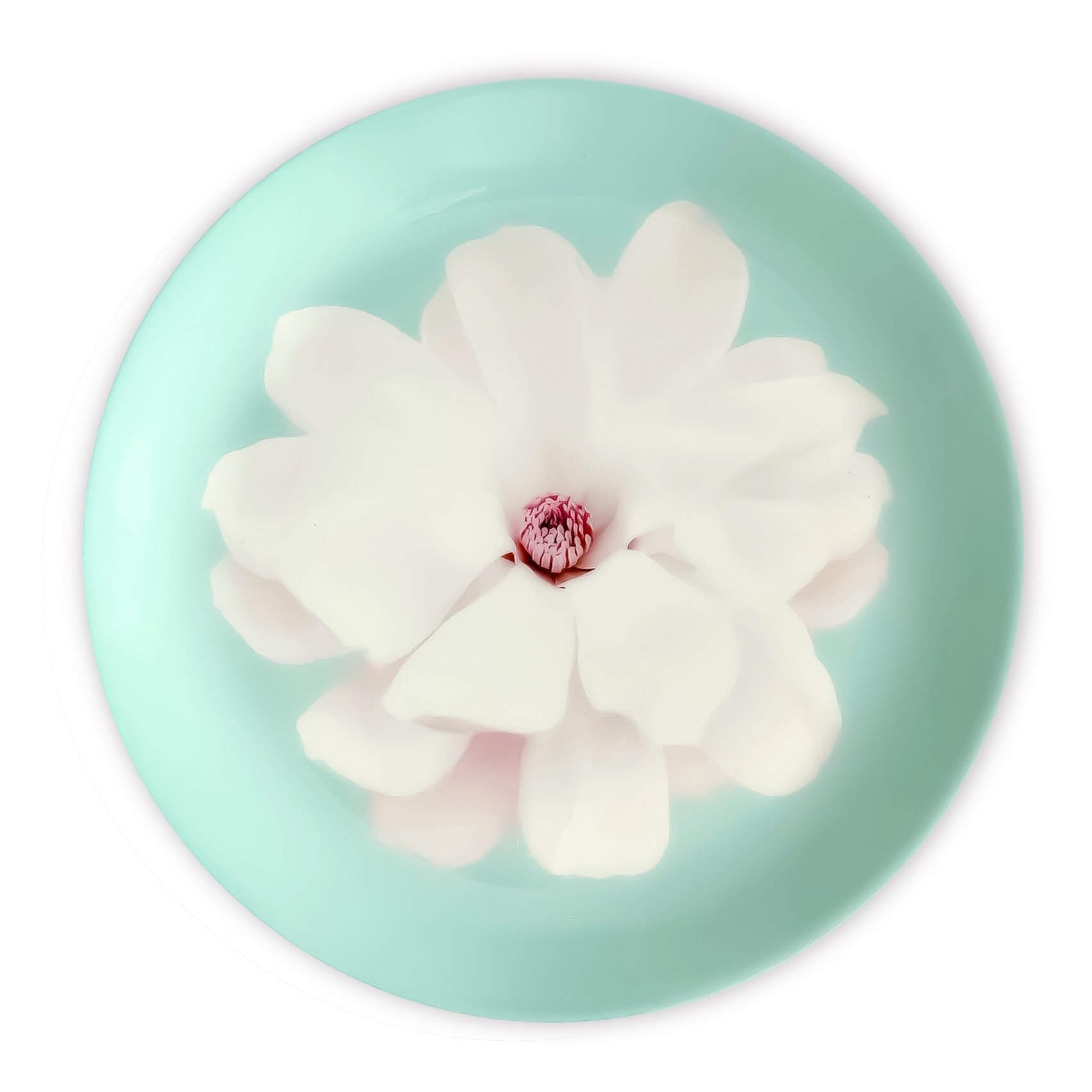 Star Magnolia porcelain