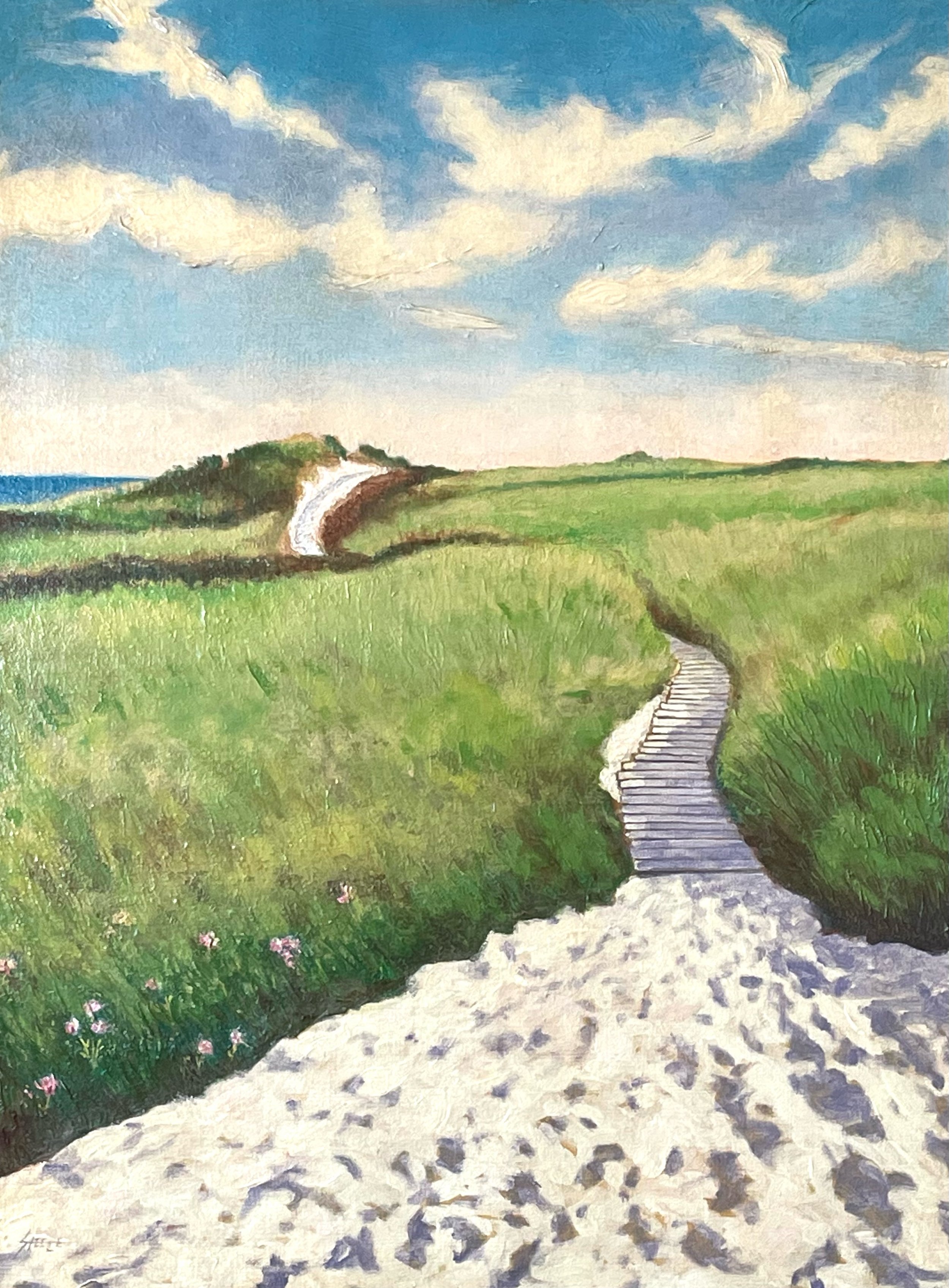 Beach Path, Aquinnah