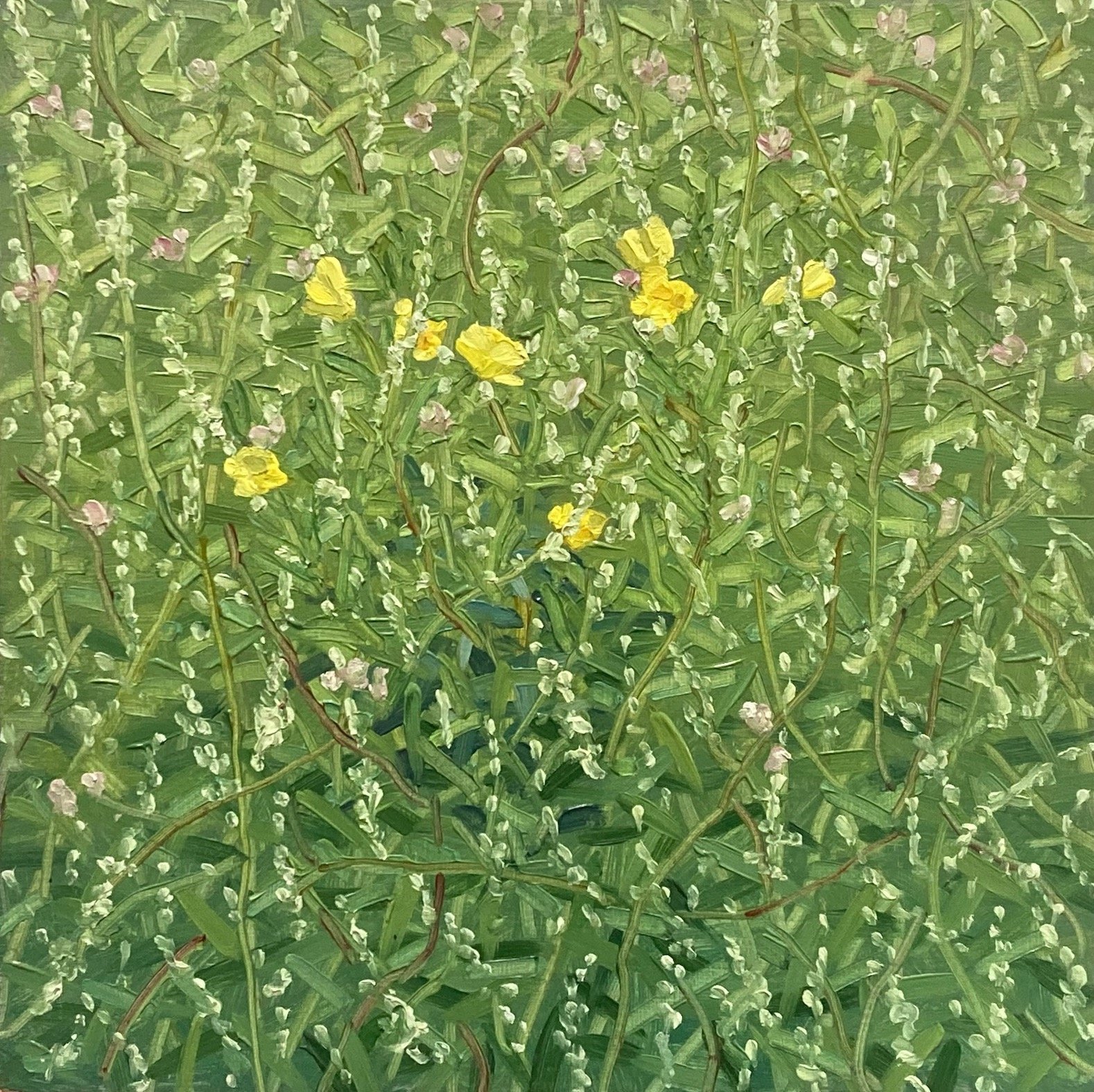 Buttercups and Smartweed