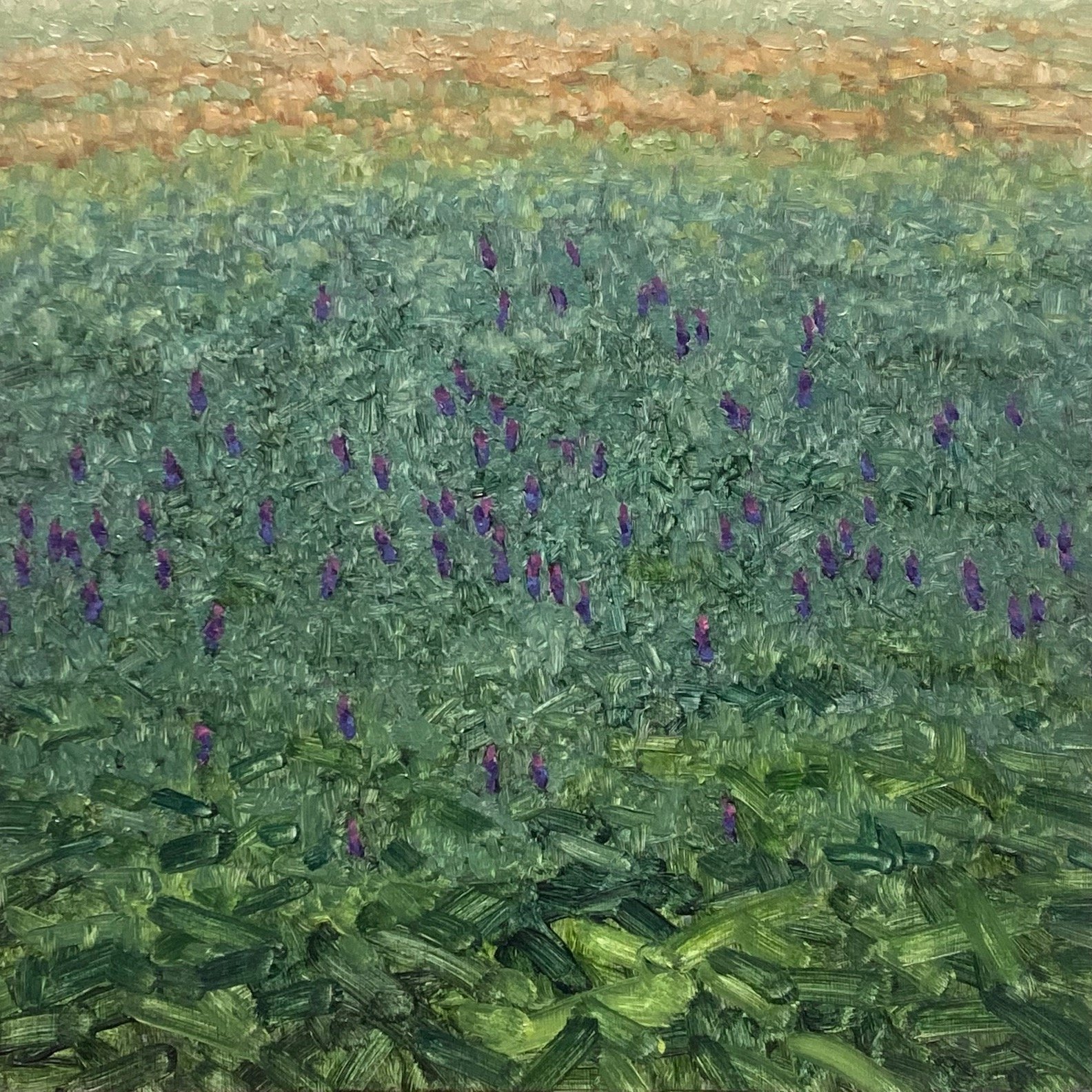 Vetch Gathering