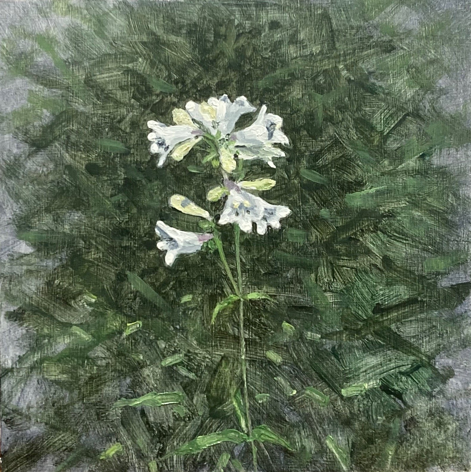 White Flowers, Spring