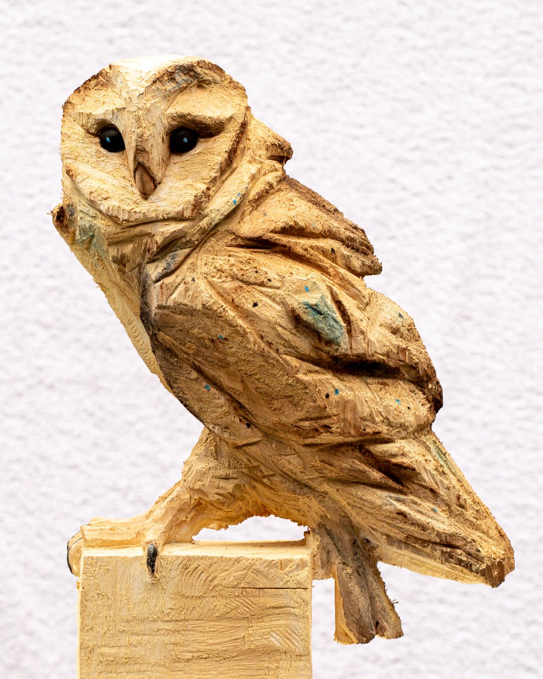 Barn Owl No. 5