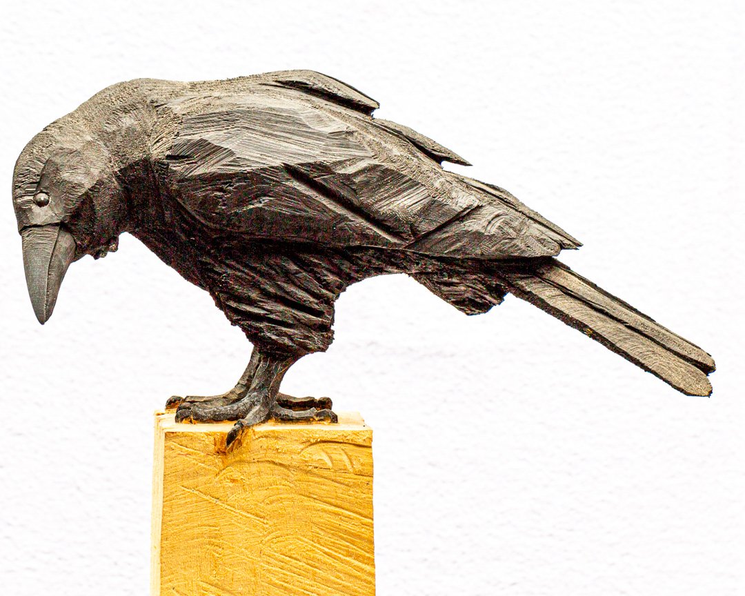 Crow No. 15