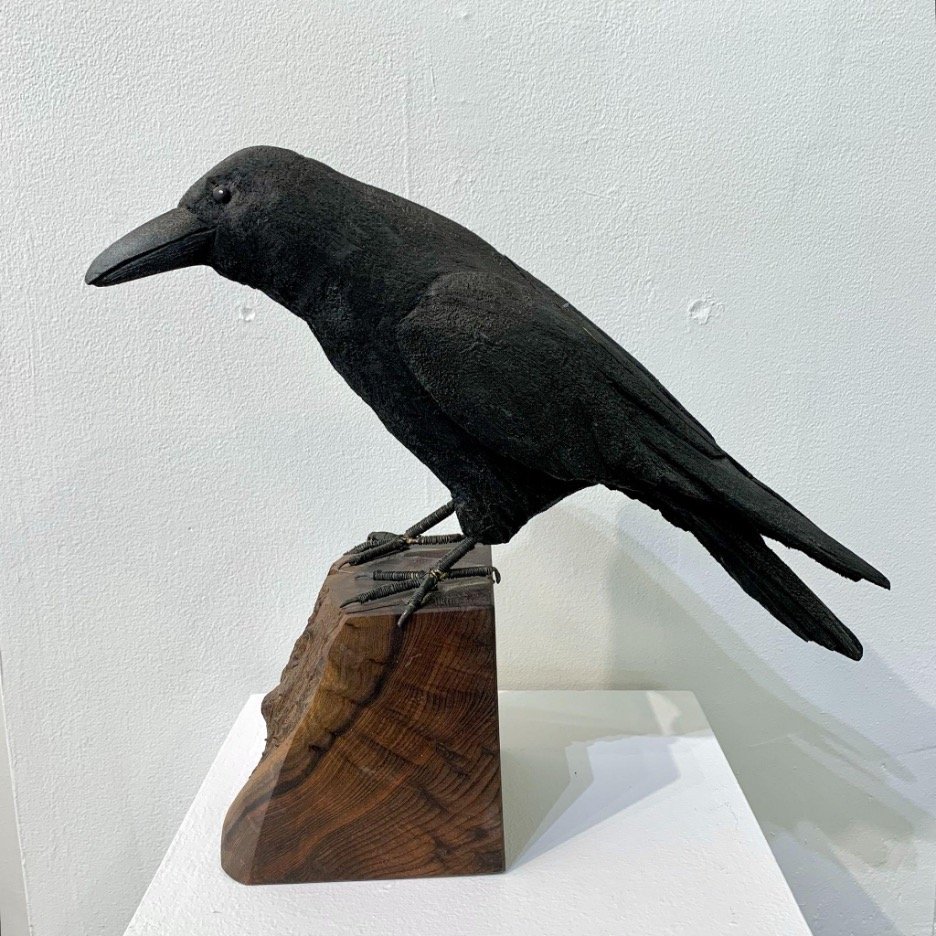Crow No. 14