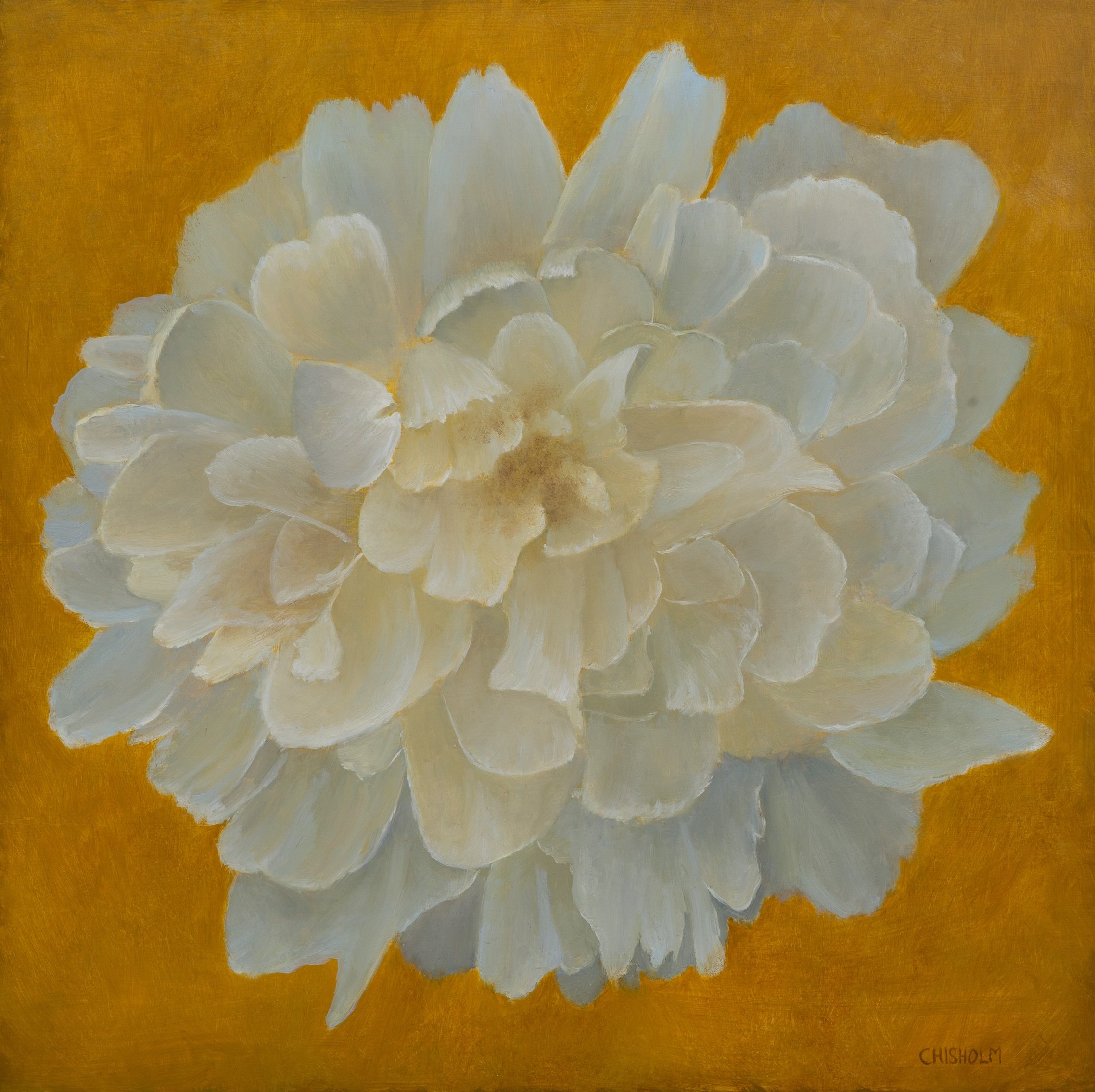 Peony Lineage