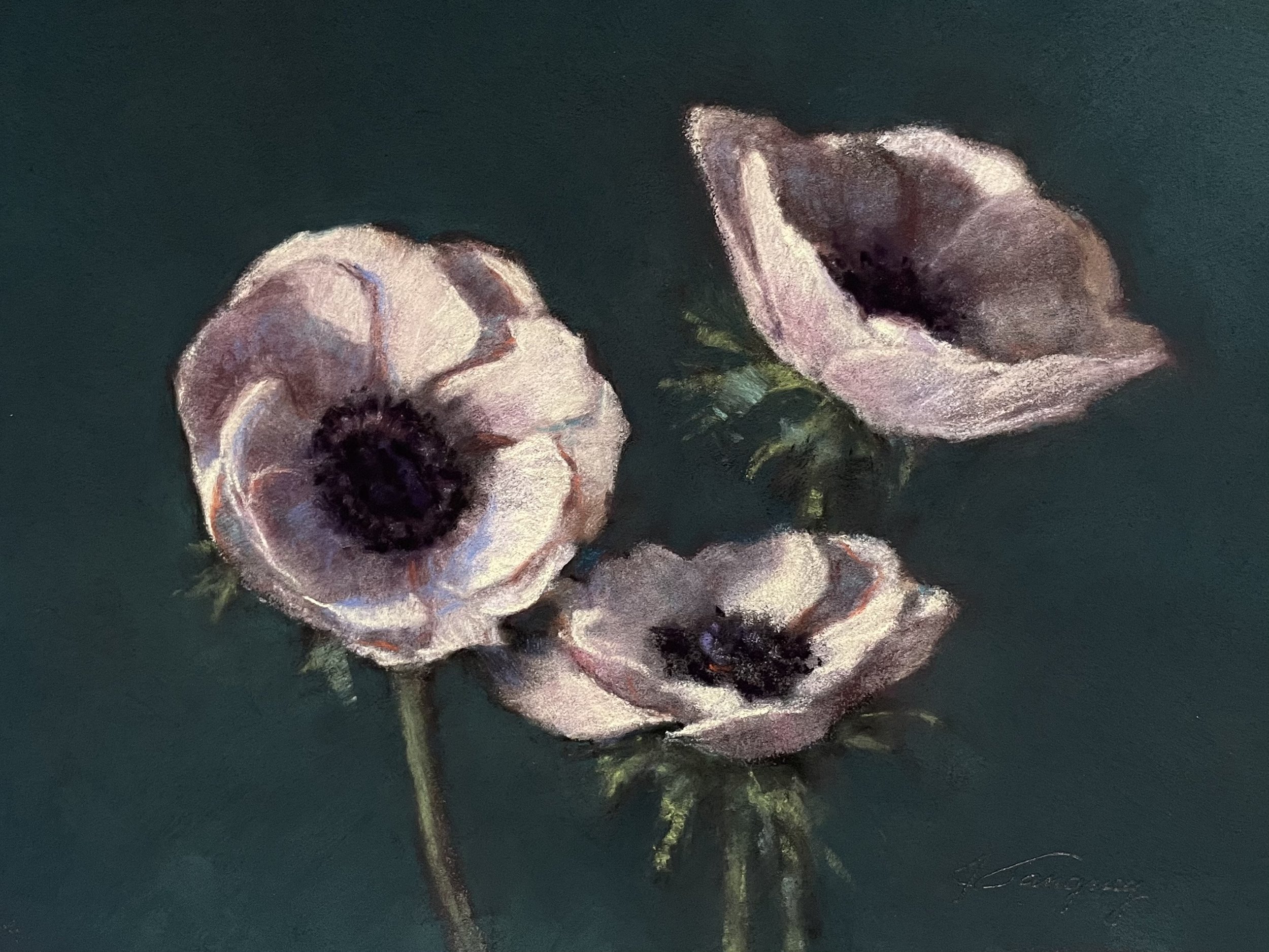 Three Anemones