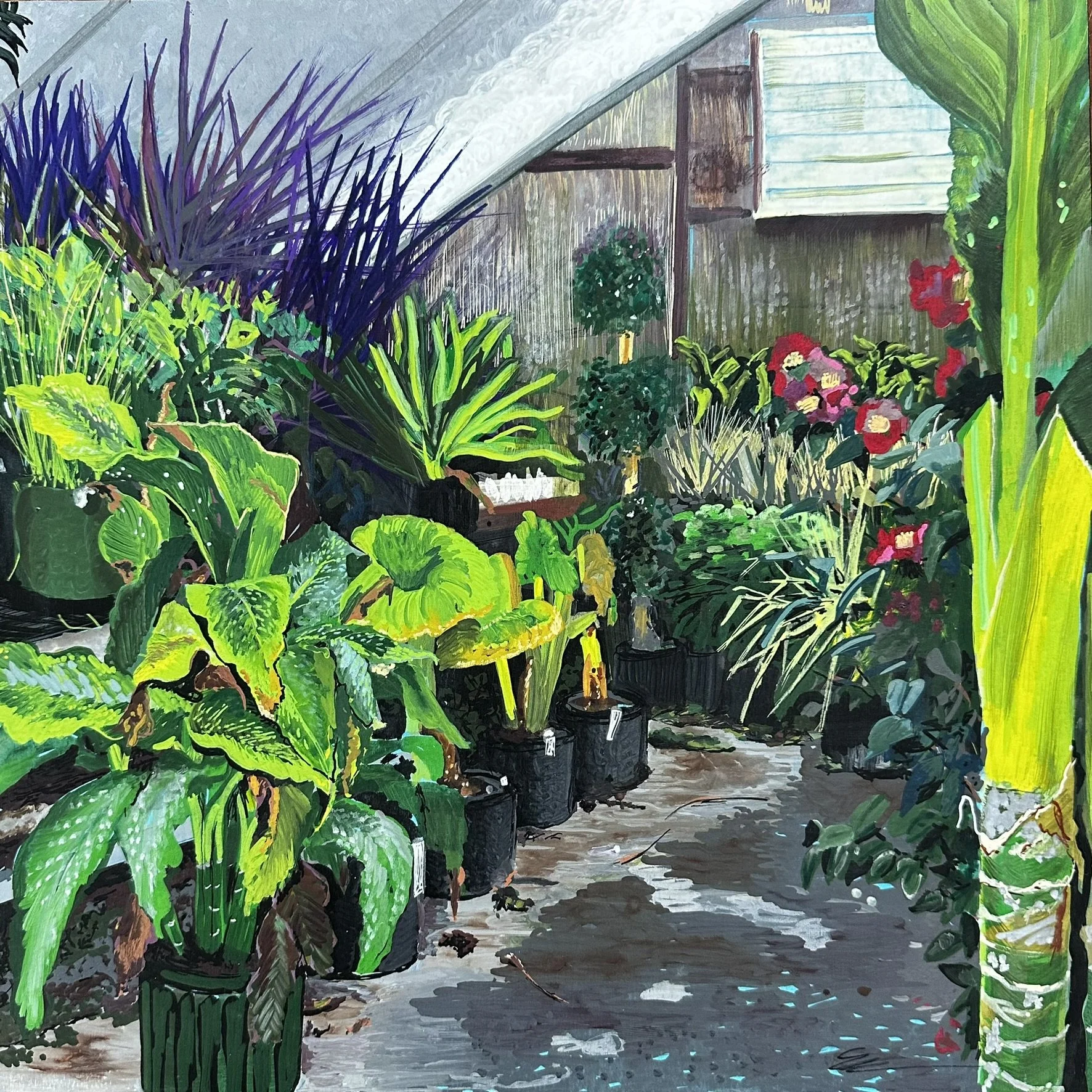 Leopard Lily at Peckham's