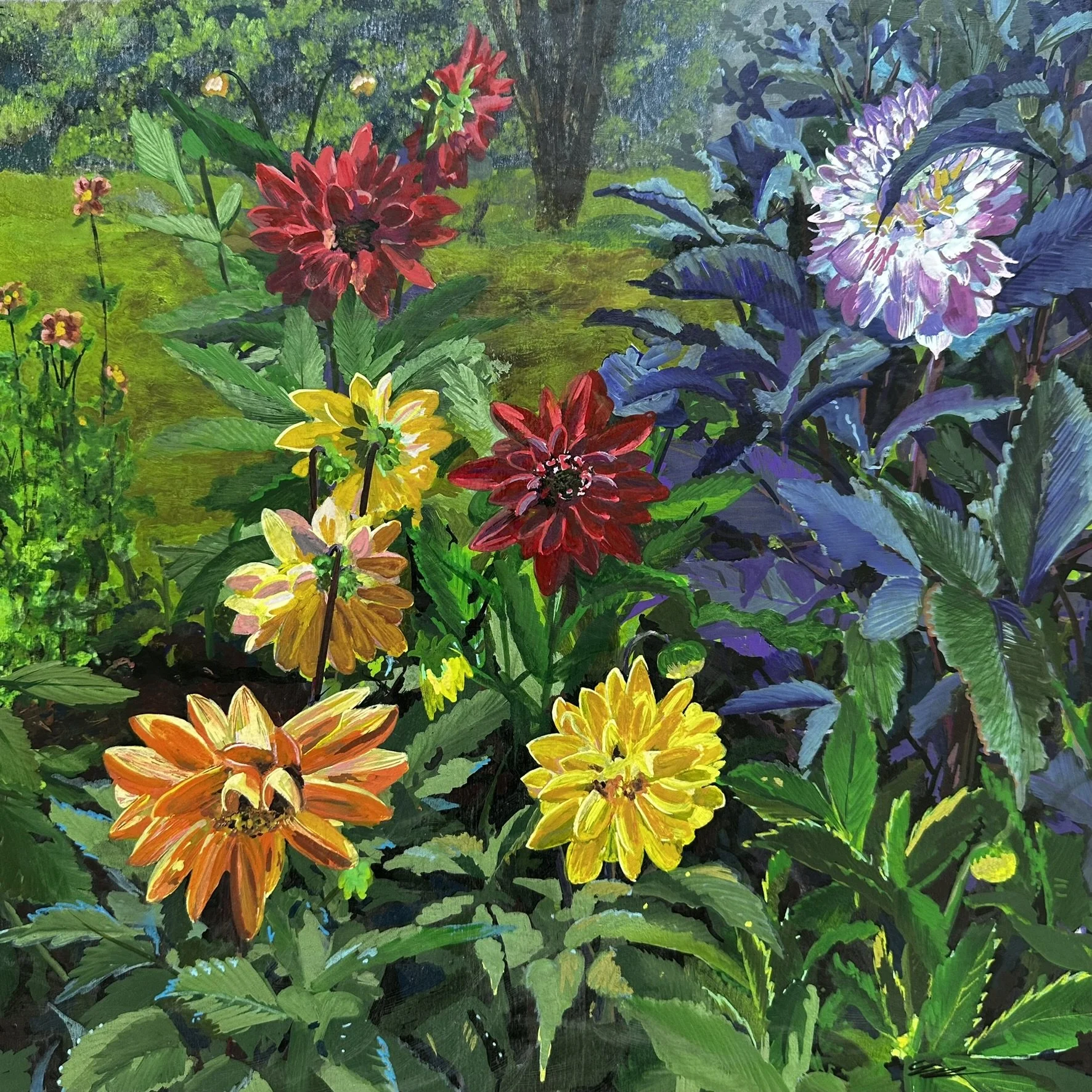 PLANTS &amp; PLACES