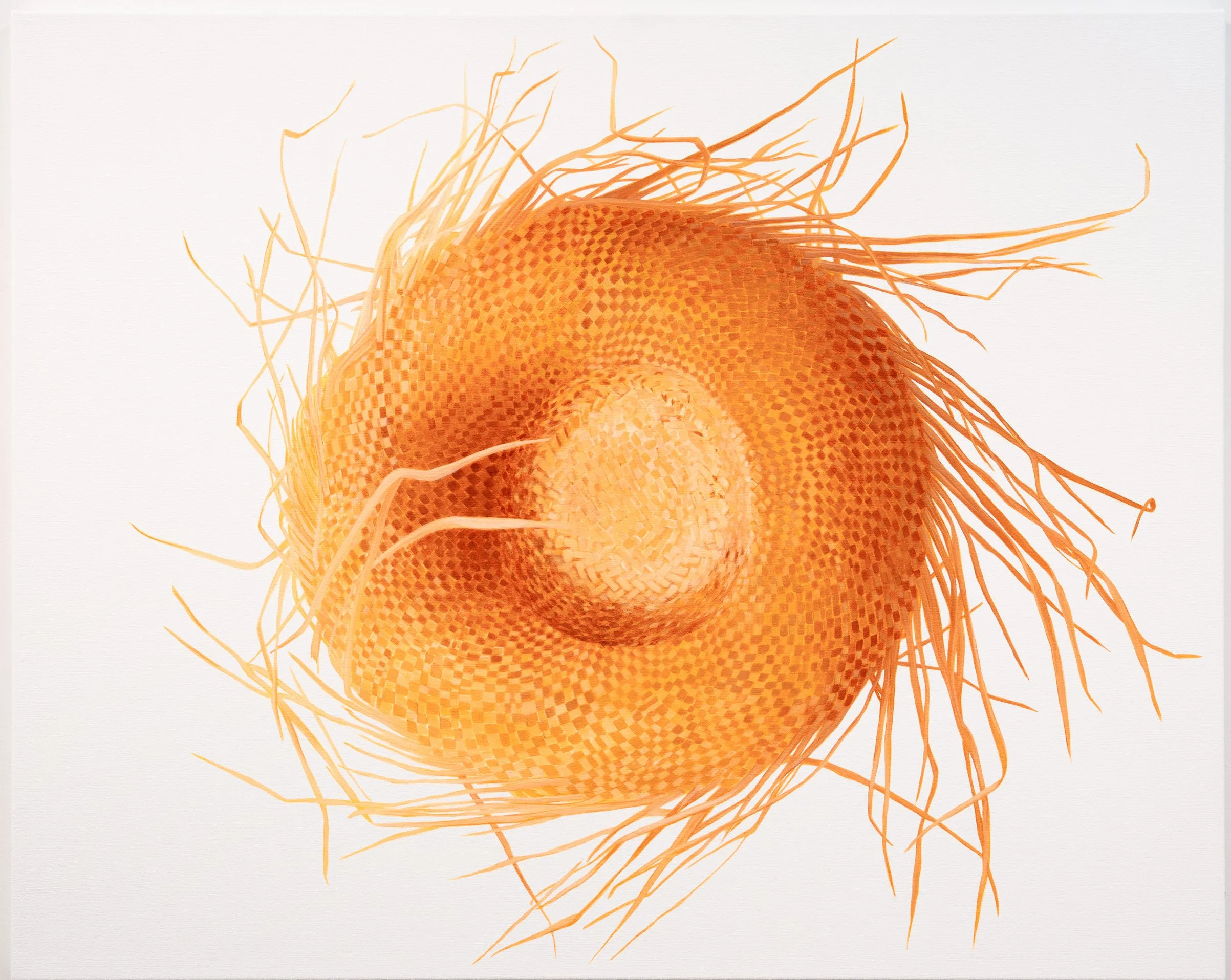 MEA DUKE DREAMLINERS