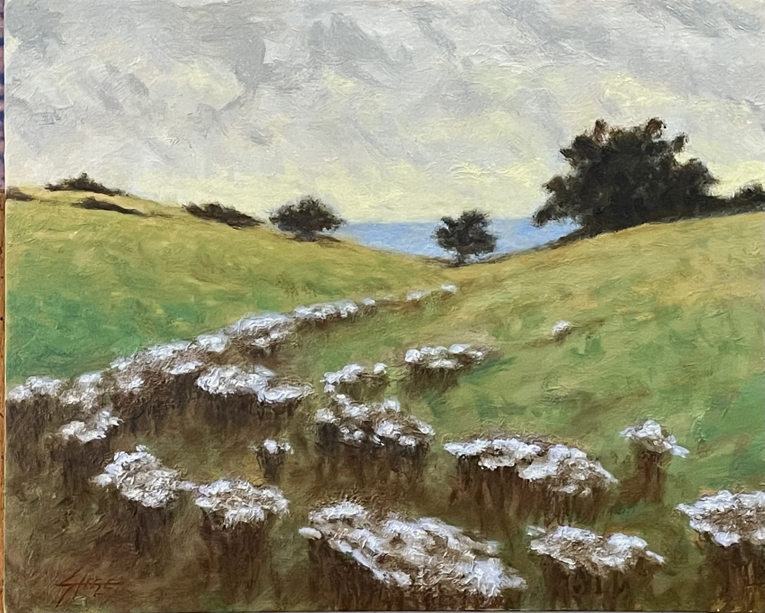 Field with Asters