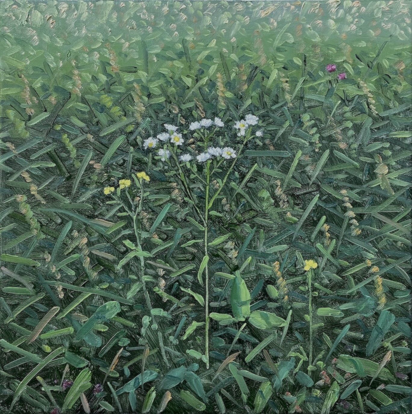 Field Painting 6-25-2025