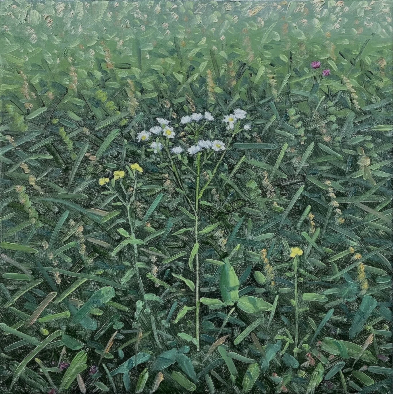 Field Painting 6-25-2025