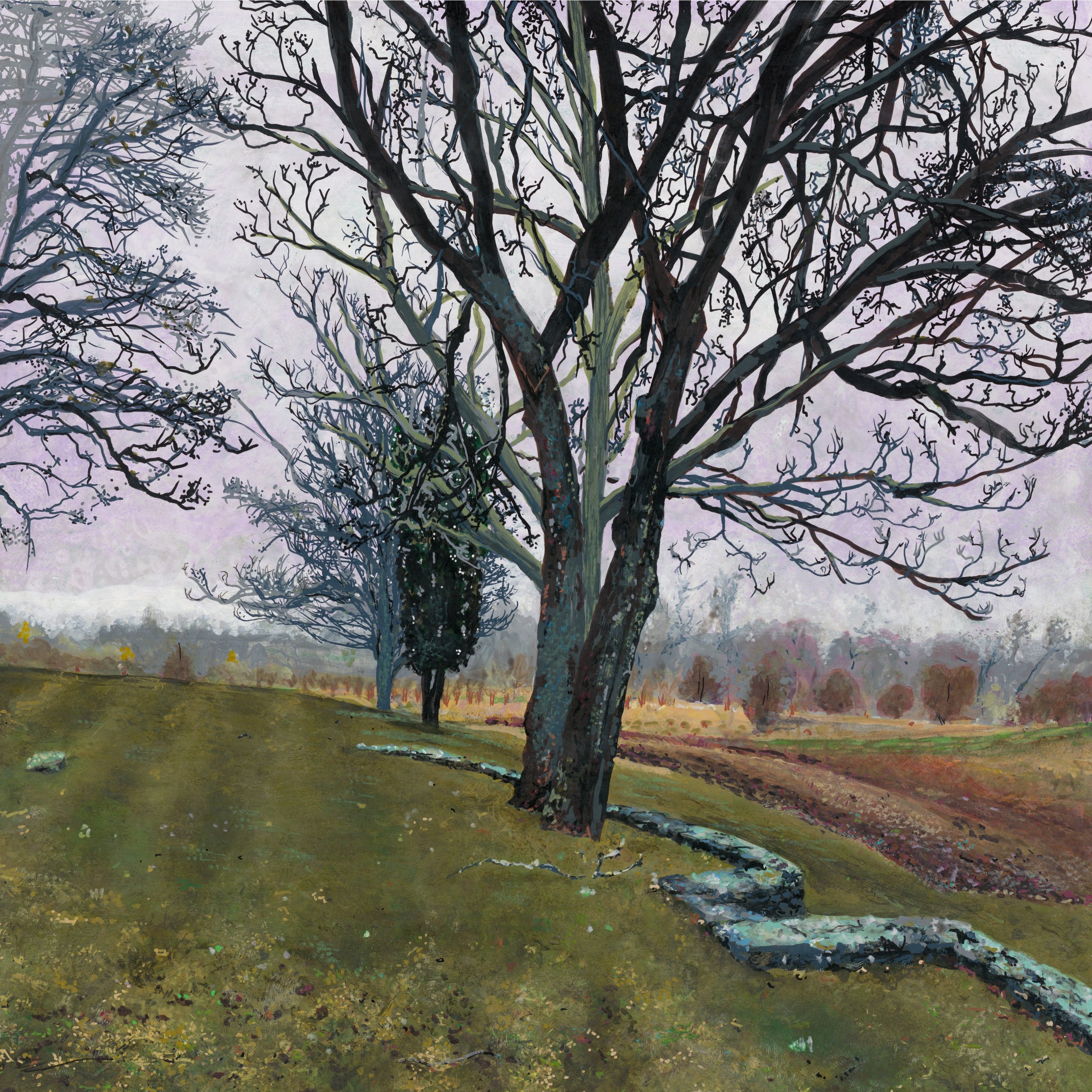 Still Waiting for Spring