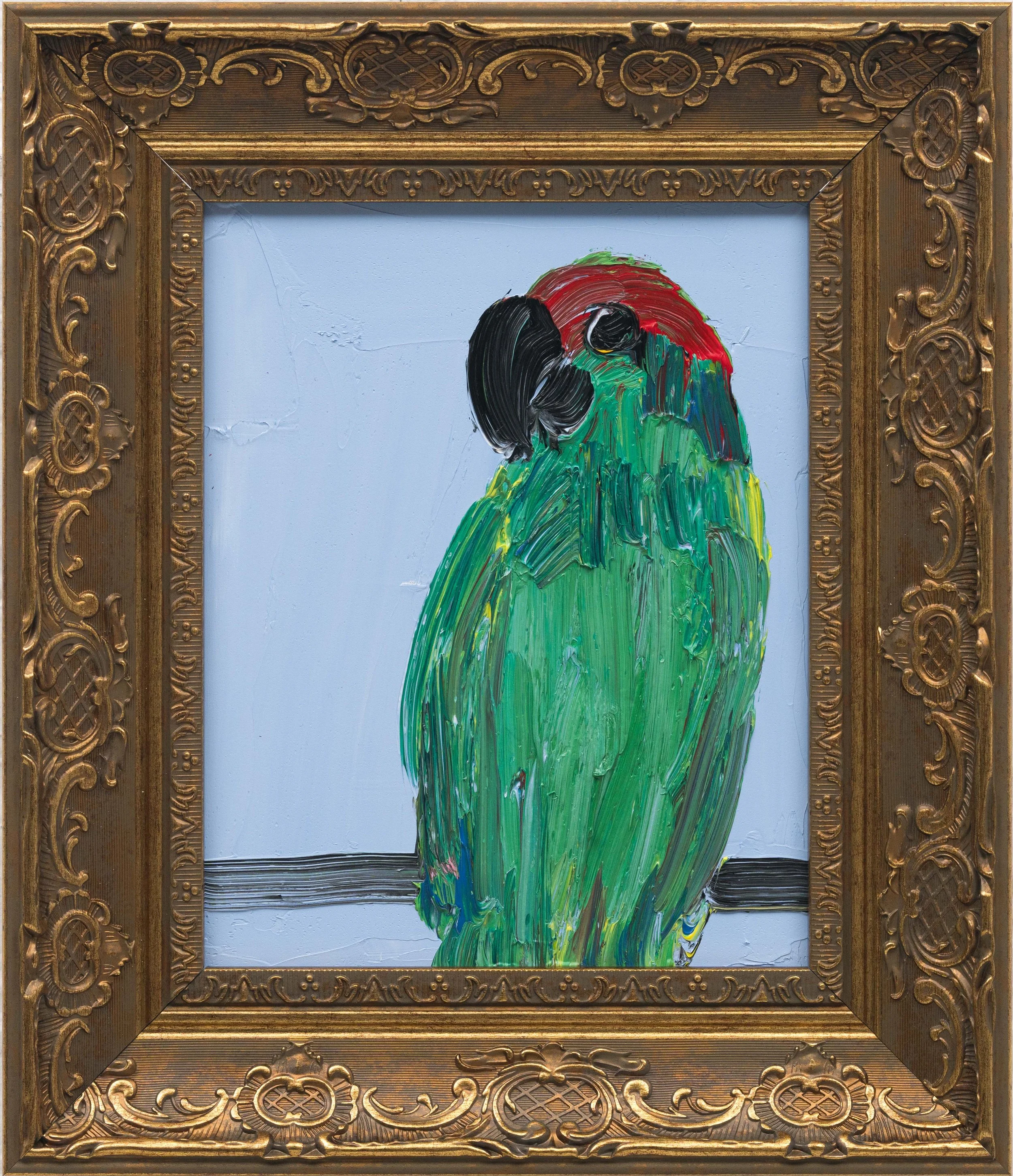 Parrot Mix