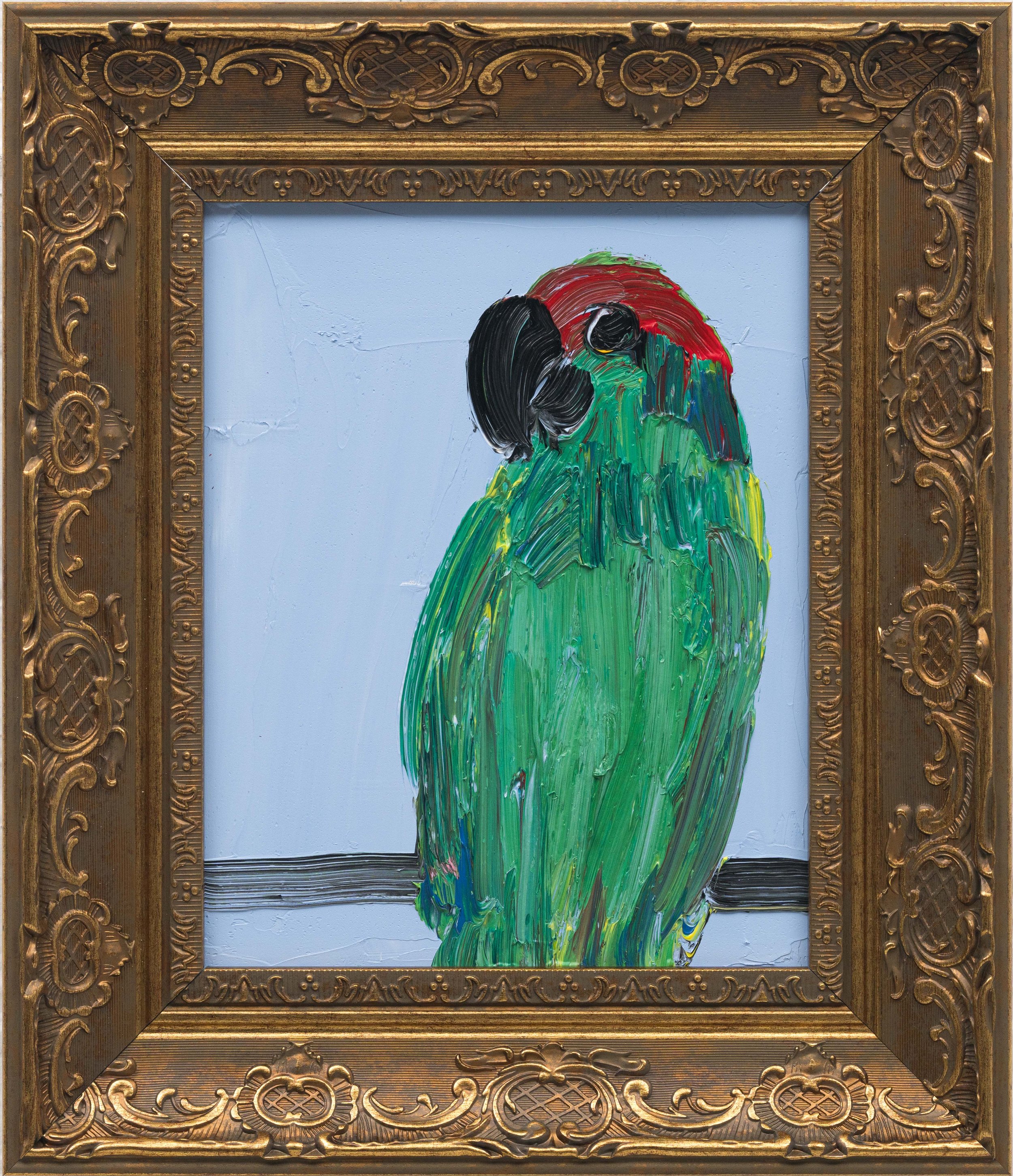 Parrot Mix