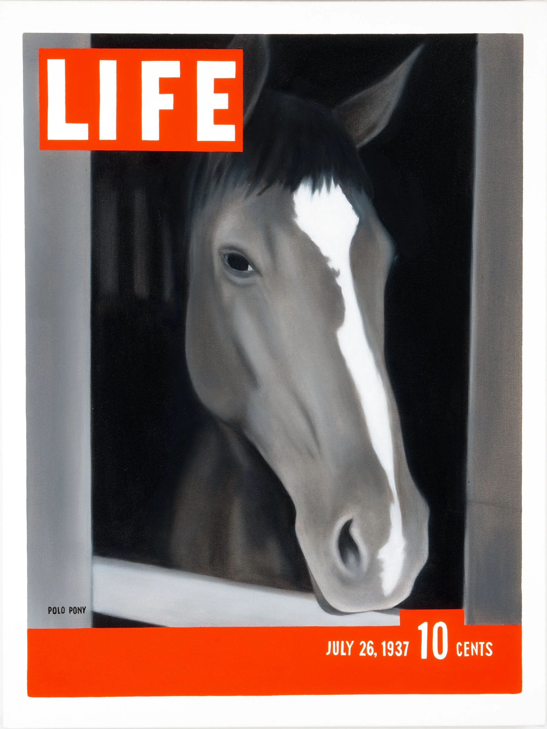 LIFE 8: Polo Pony