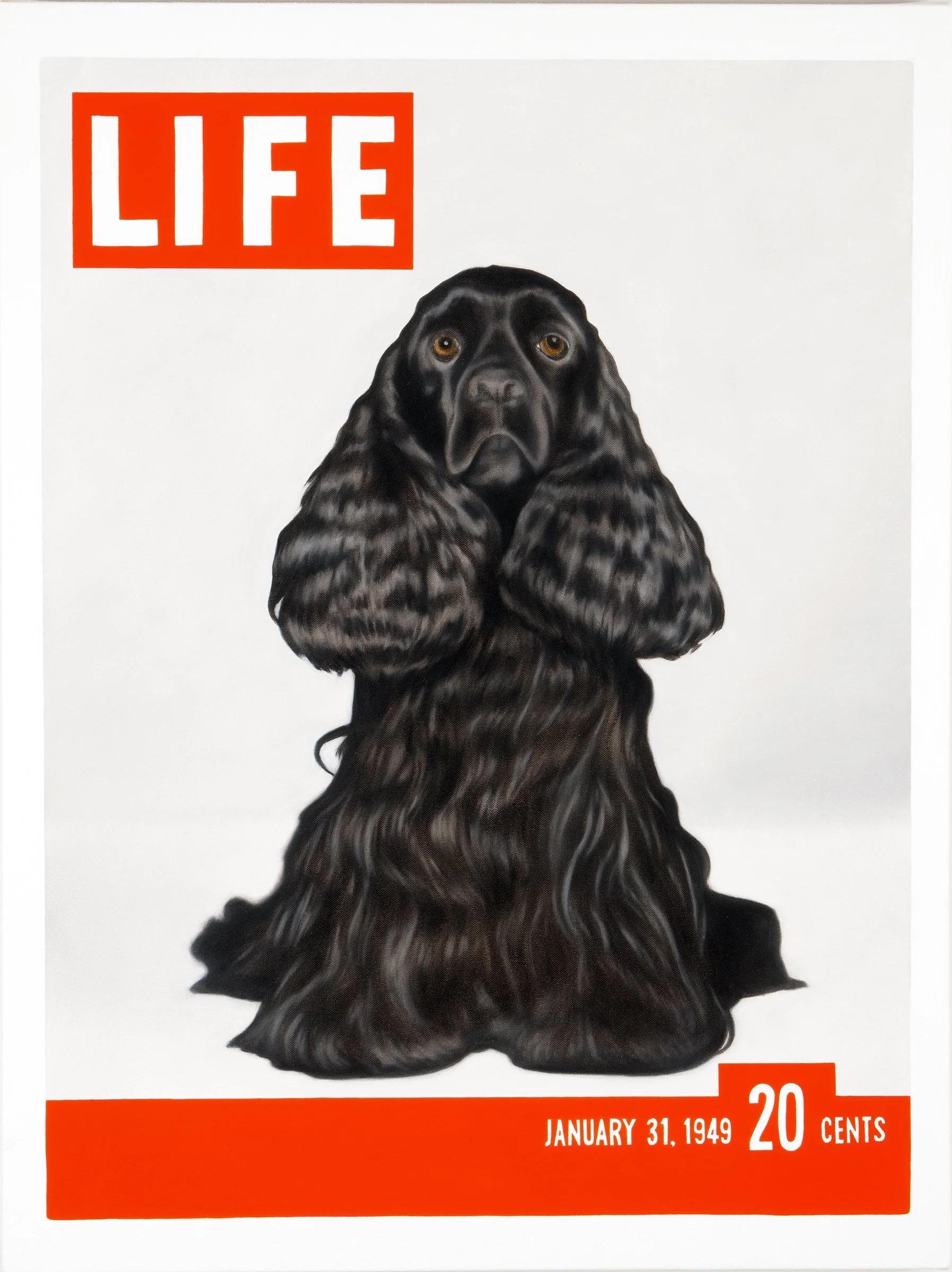LIFE 9: Champion Cocker