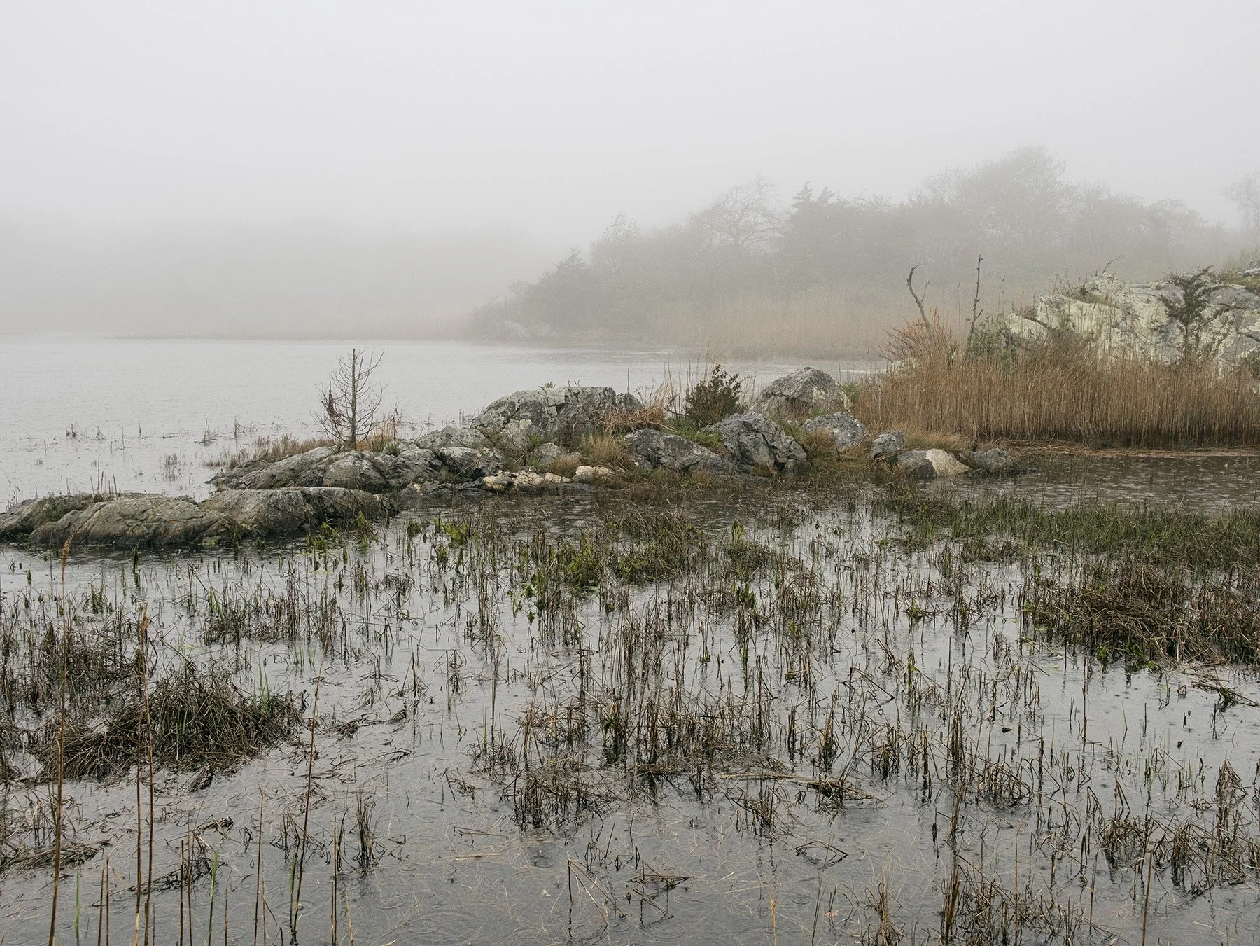 Rain, Goose Neck Cove