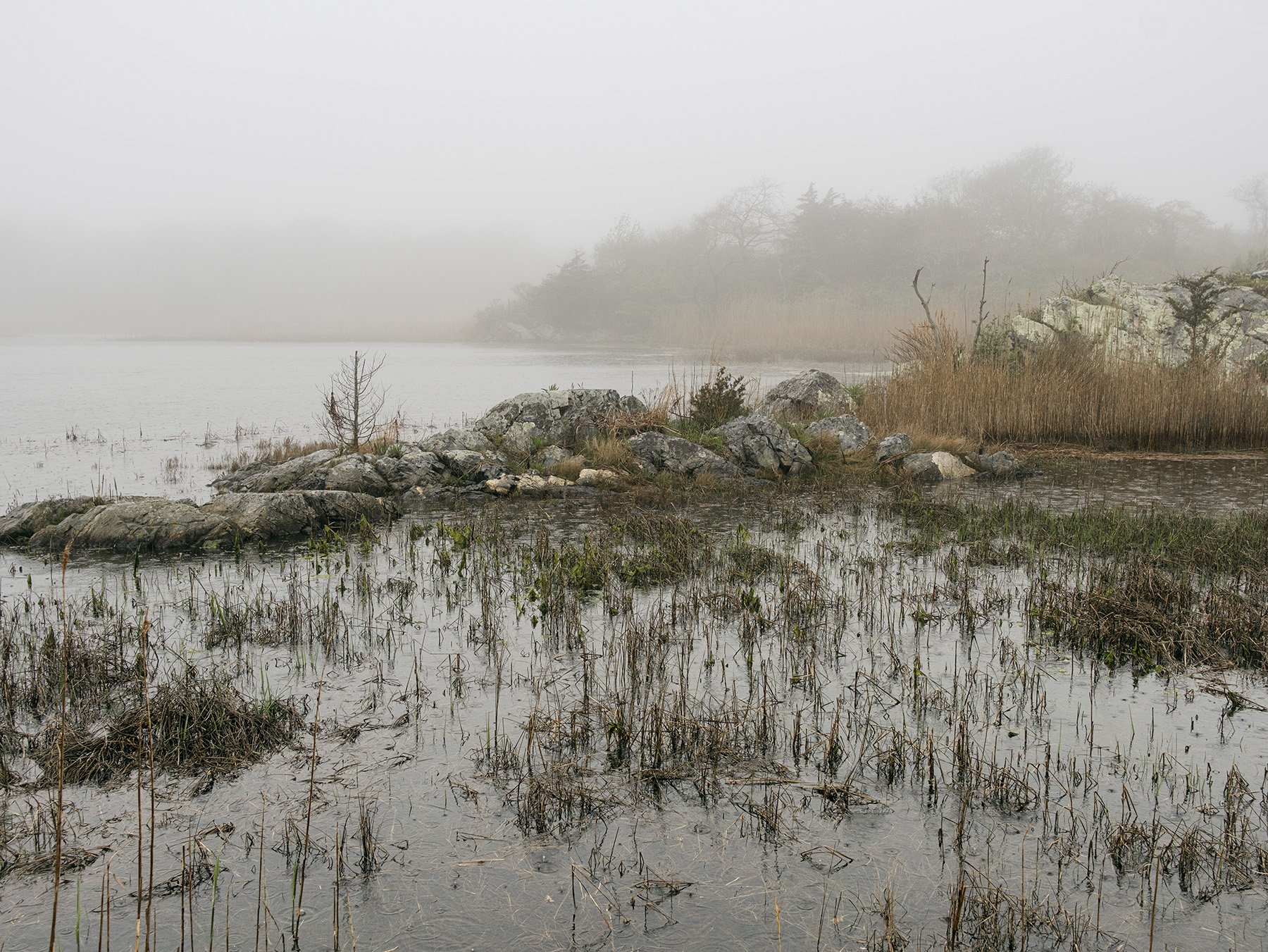 Rain, Goose Neck Cove