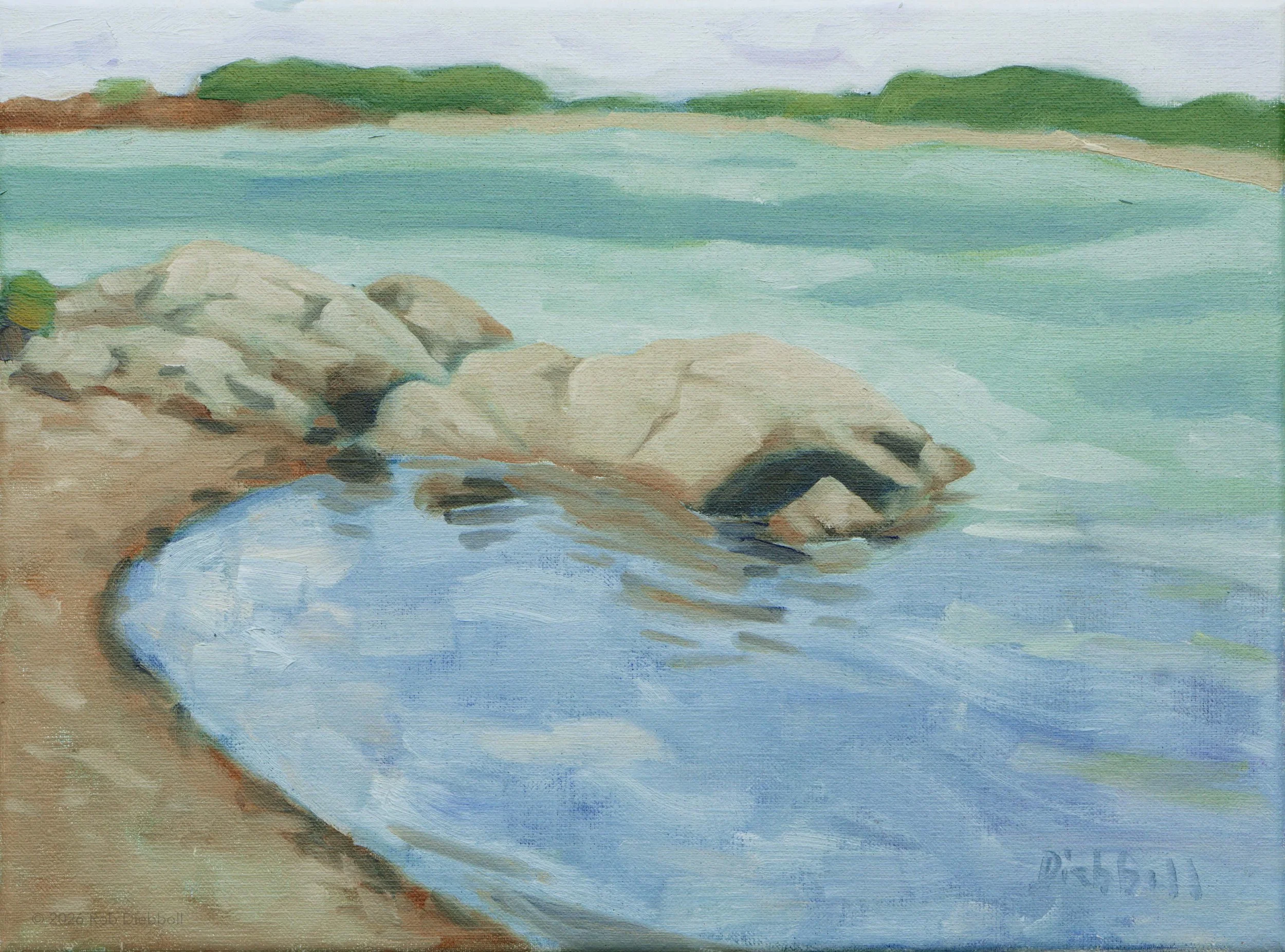Diebboll-TurningTide_12x16_oil.jpg