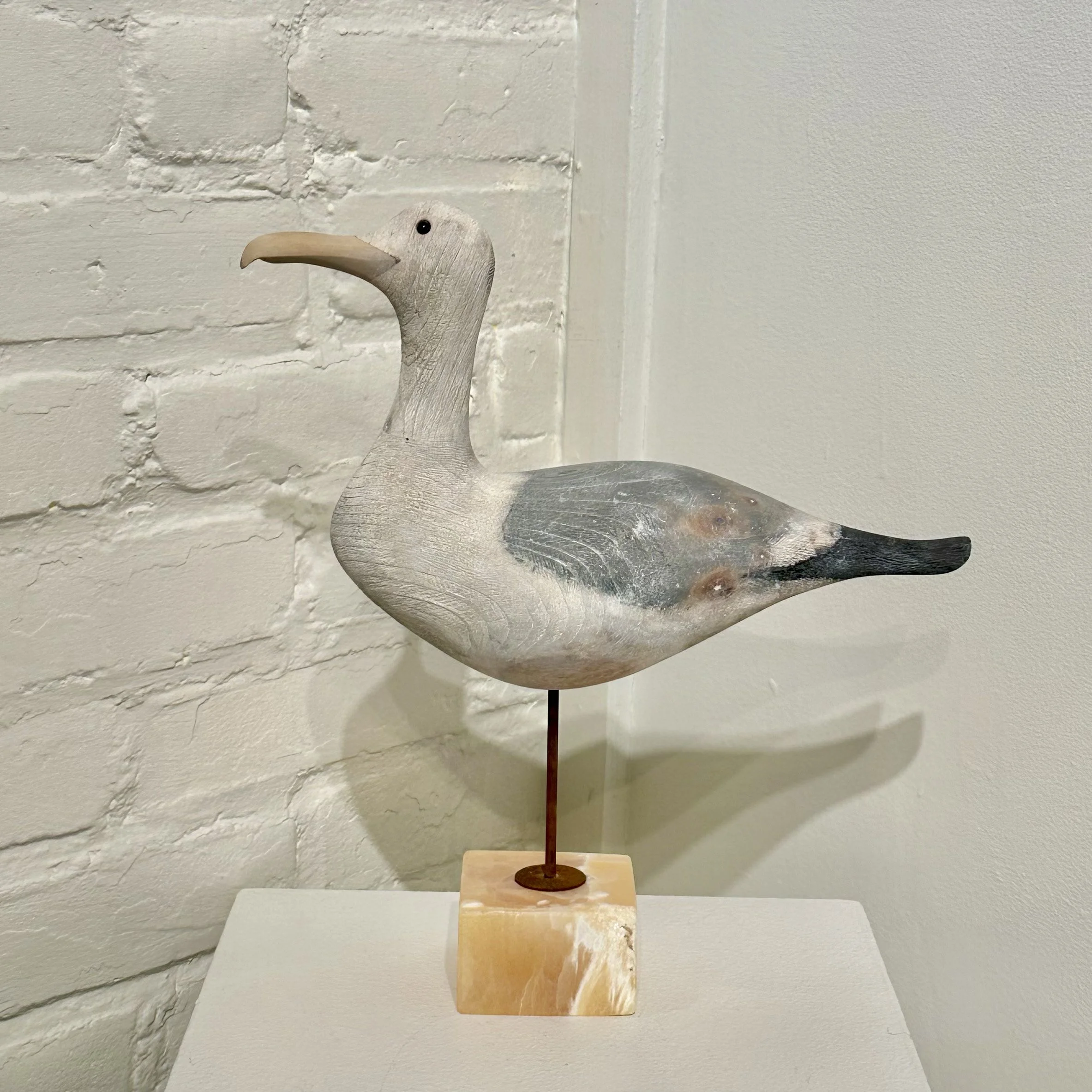 Rodolfo