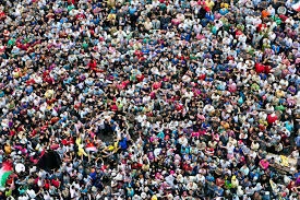 The Five Tribes of An Organization's Culture