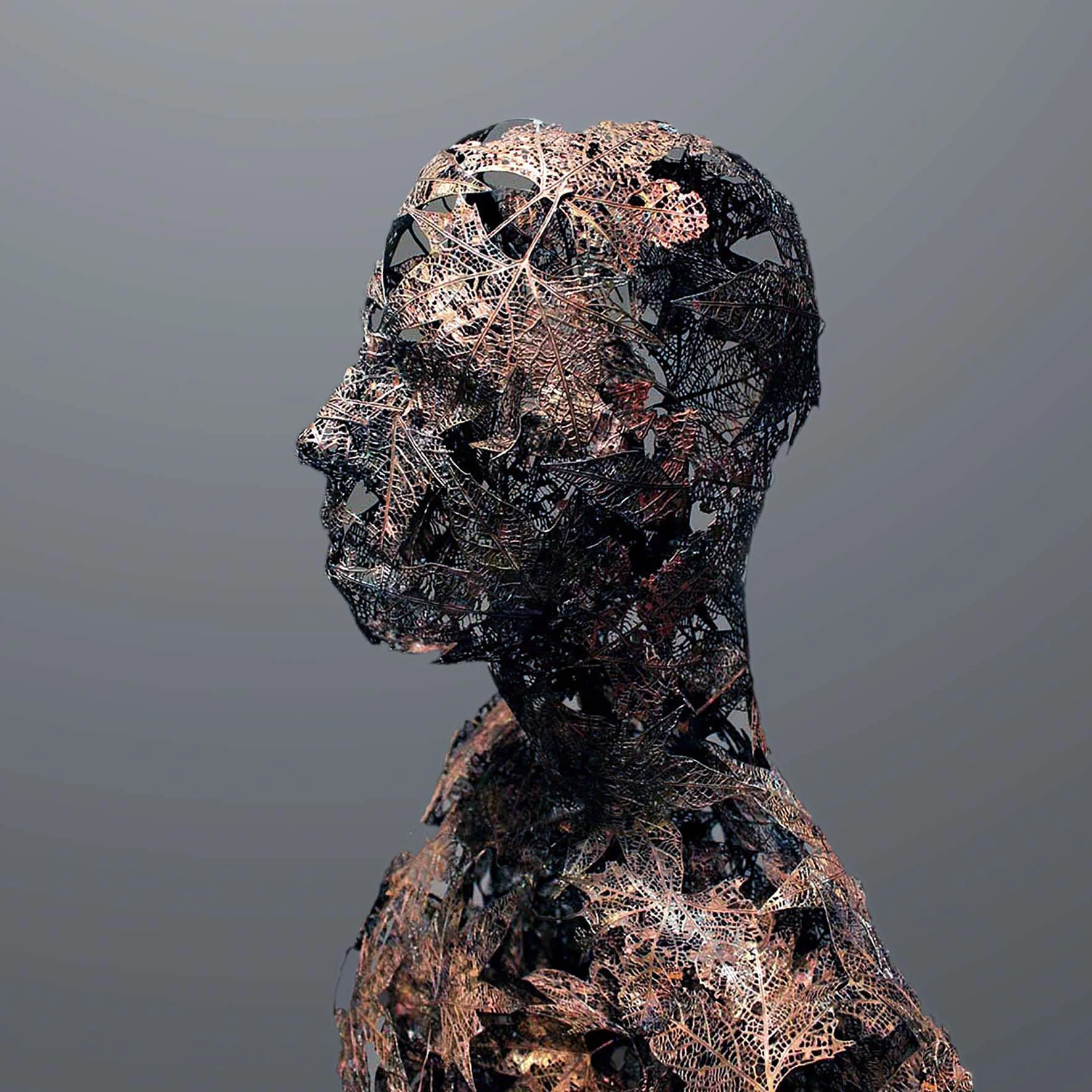 STILL Profile sq.jpg