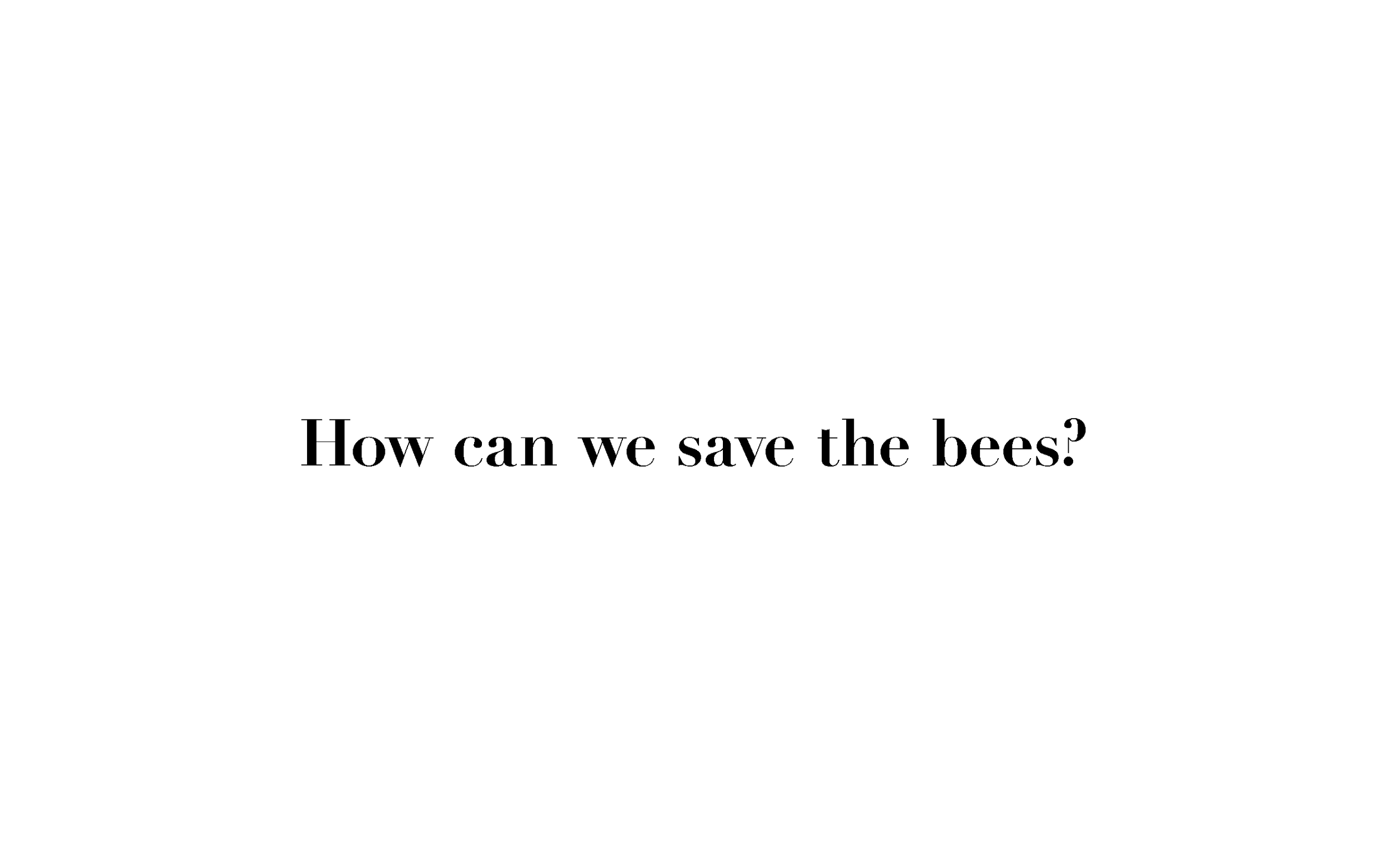 buzzedpresentation6.png