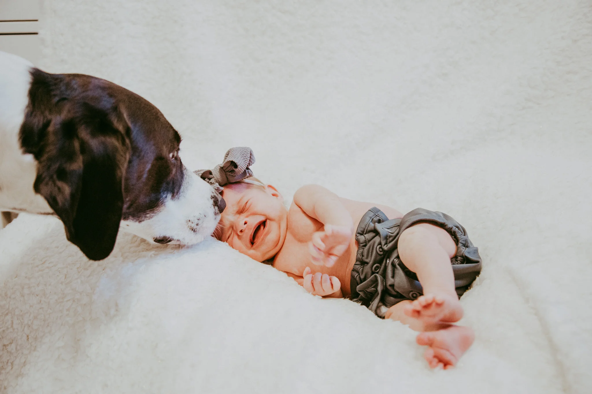 Nashville-Newborn-Photography-4.jpg