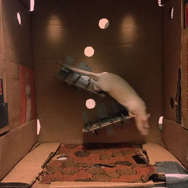 974211569753557928_44213873.jpg
