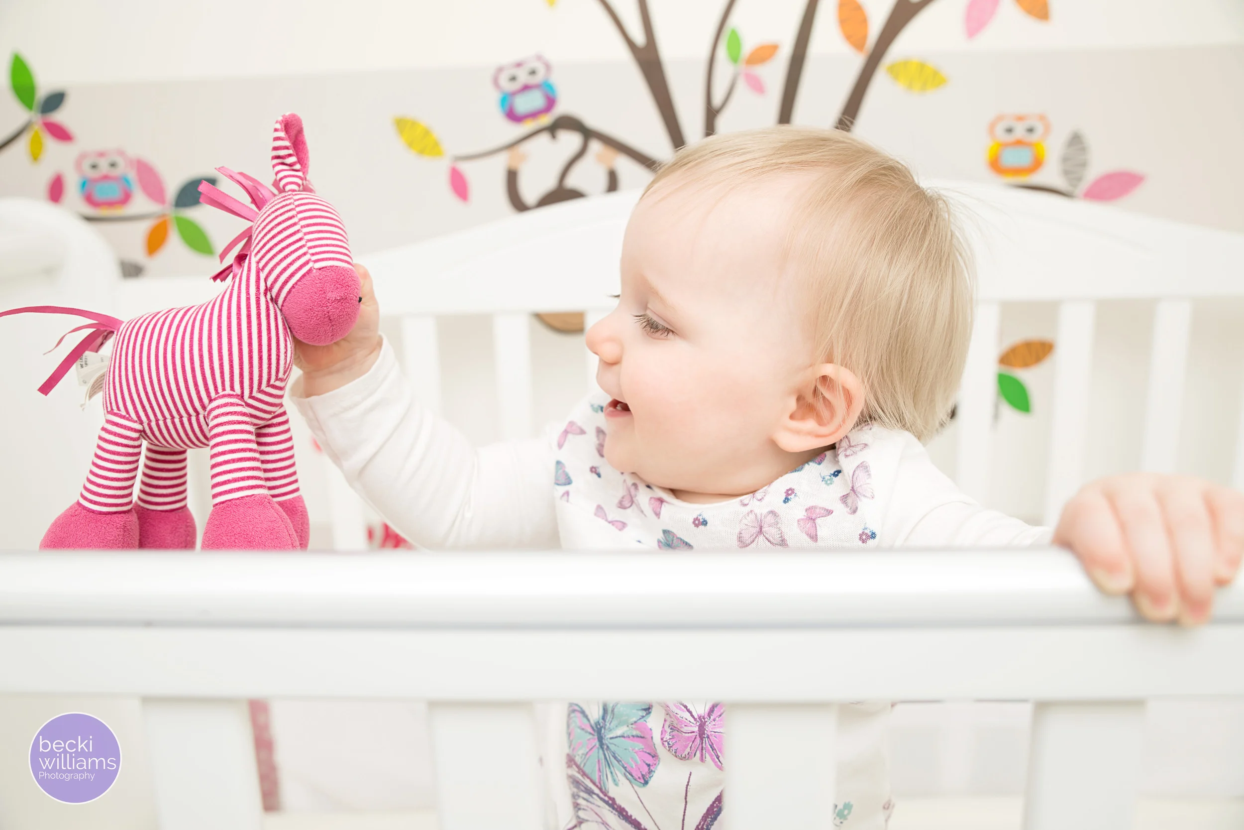 Baby-photography-hemel-hempstead-crib-pink-teddy.jpg