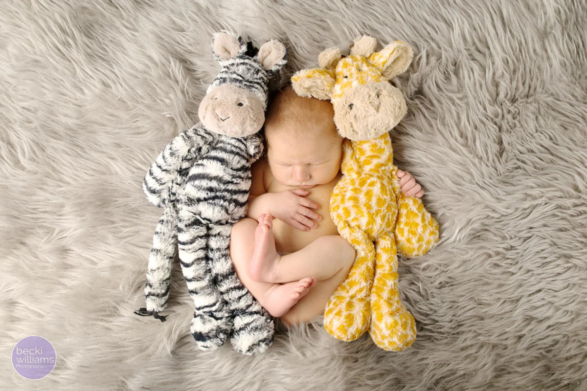 NEWBORN PHOTOS - fur blanket - teddies - POSED - asleep
