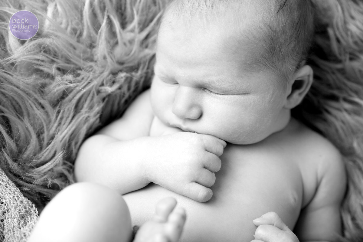 NEWBORN PHOTOS - black and white - asleep - POSED