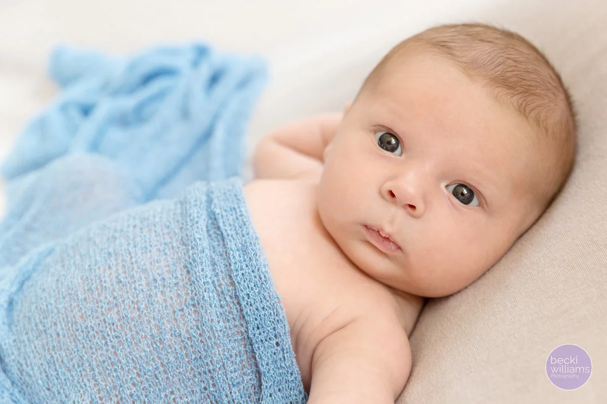 BABY PICS HEMEL HEMPSTEAD - BABY BOY LAYS covered in blue blanket