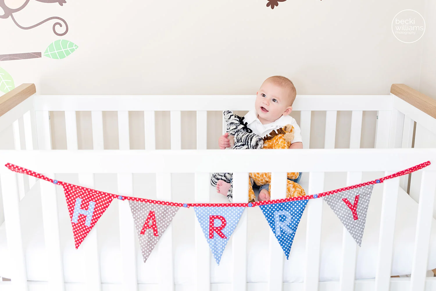 Baby pictures-8 month old-Harry-Cot-Bunting