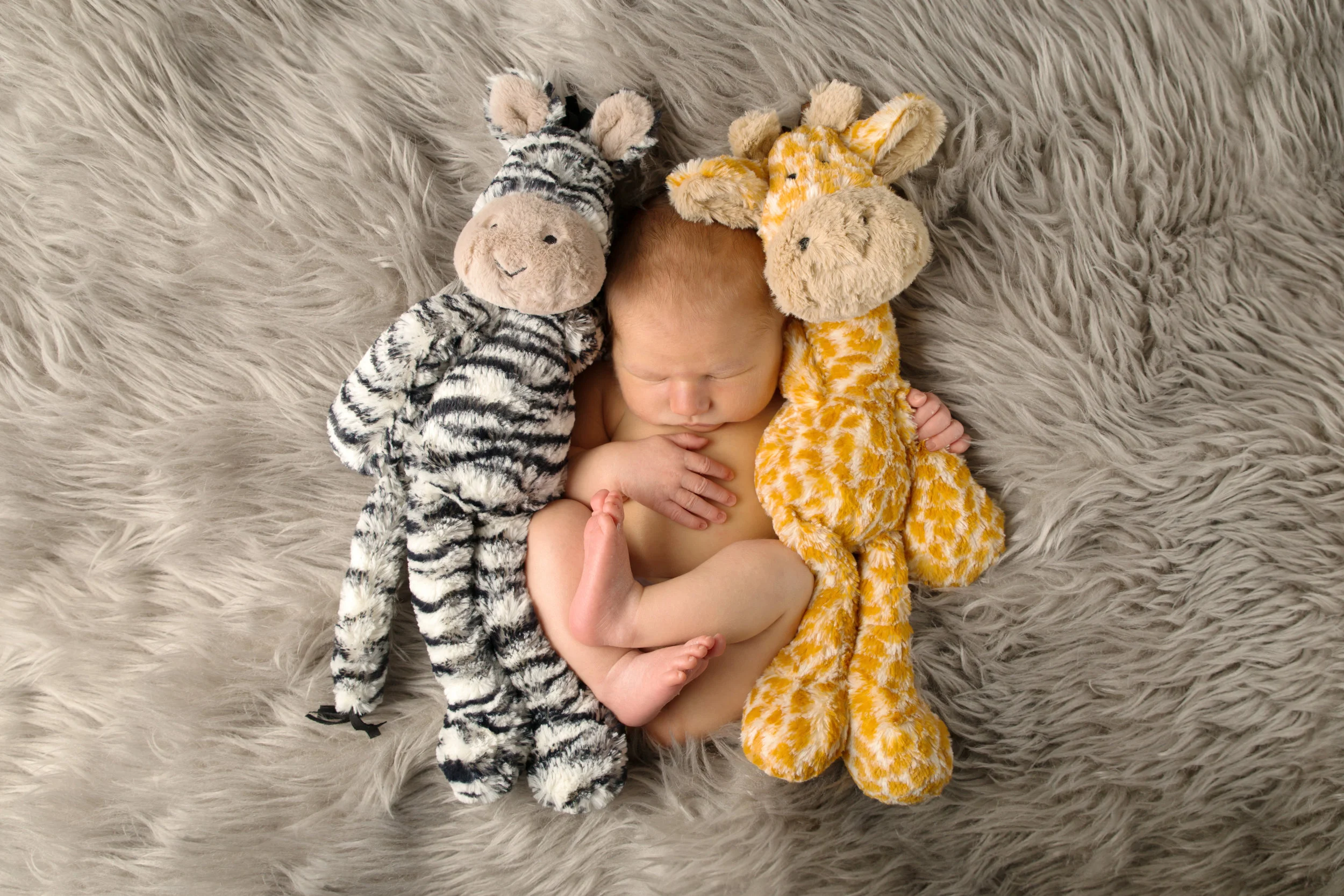 Baby pictures - 8 month old Harry as a newborn with his teddies