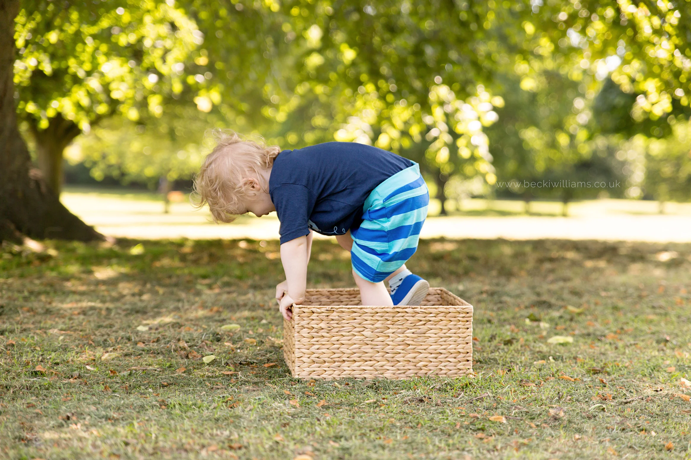 professional baby photography of 2 year old boy playing in a box in gadebridge park, hemel hempstead
