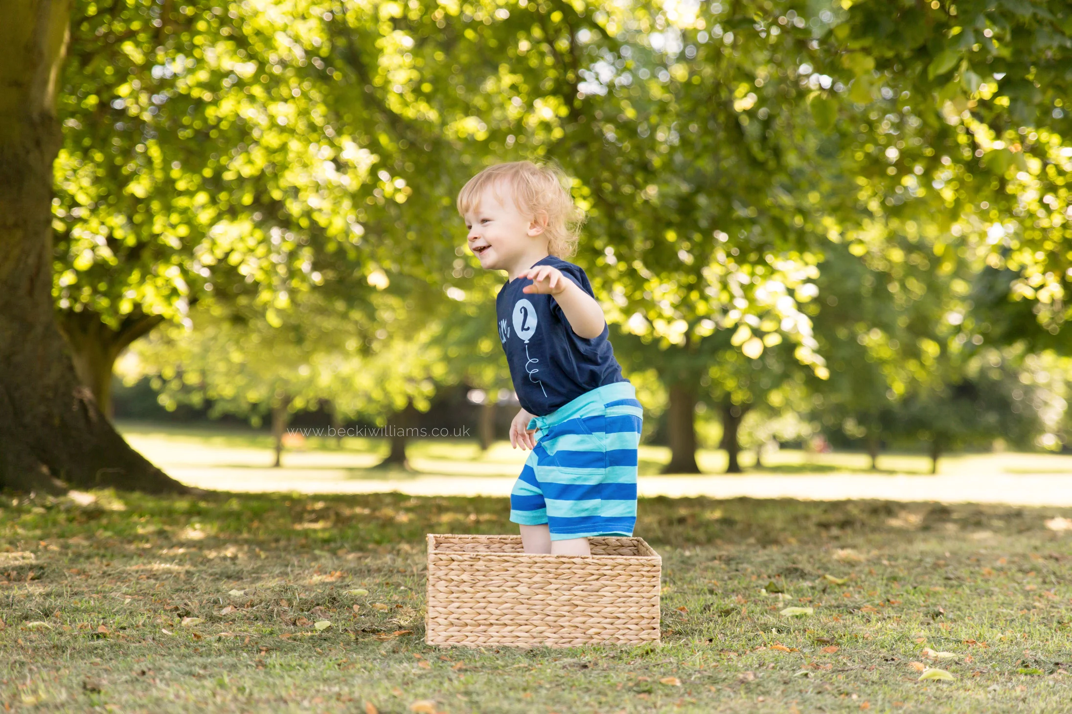 professional baby photography of 2 year old boy playing in a box in gadebridge park, hemel hempstead