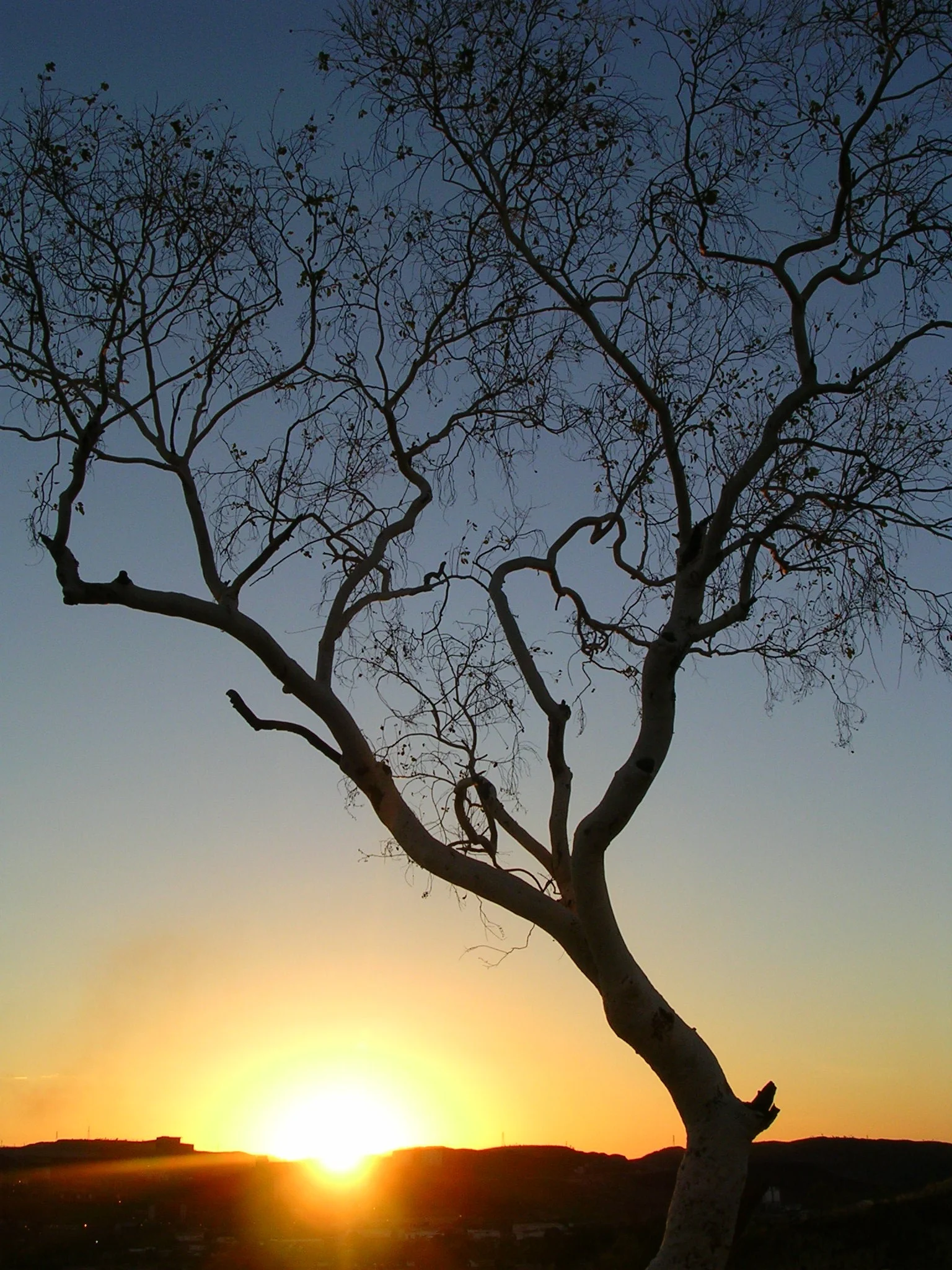 sun_set_at_mt__isa_by_putrescent_pen.jpg