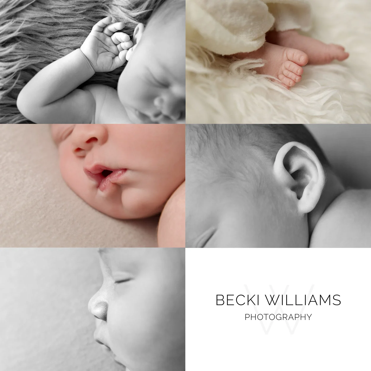 close up of hand, toes, lips, ear and nose from a newborn baby photo shoot in hemel hempstead